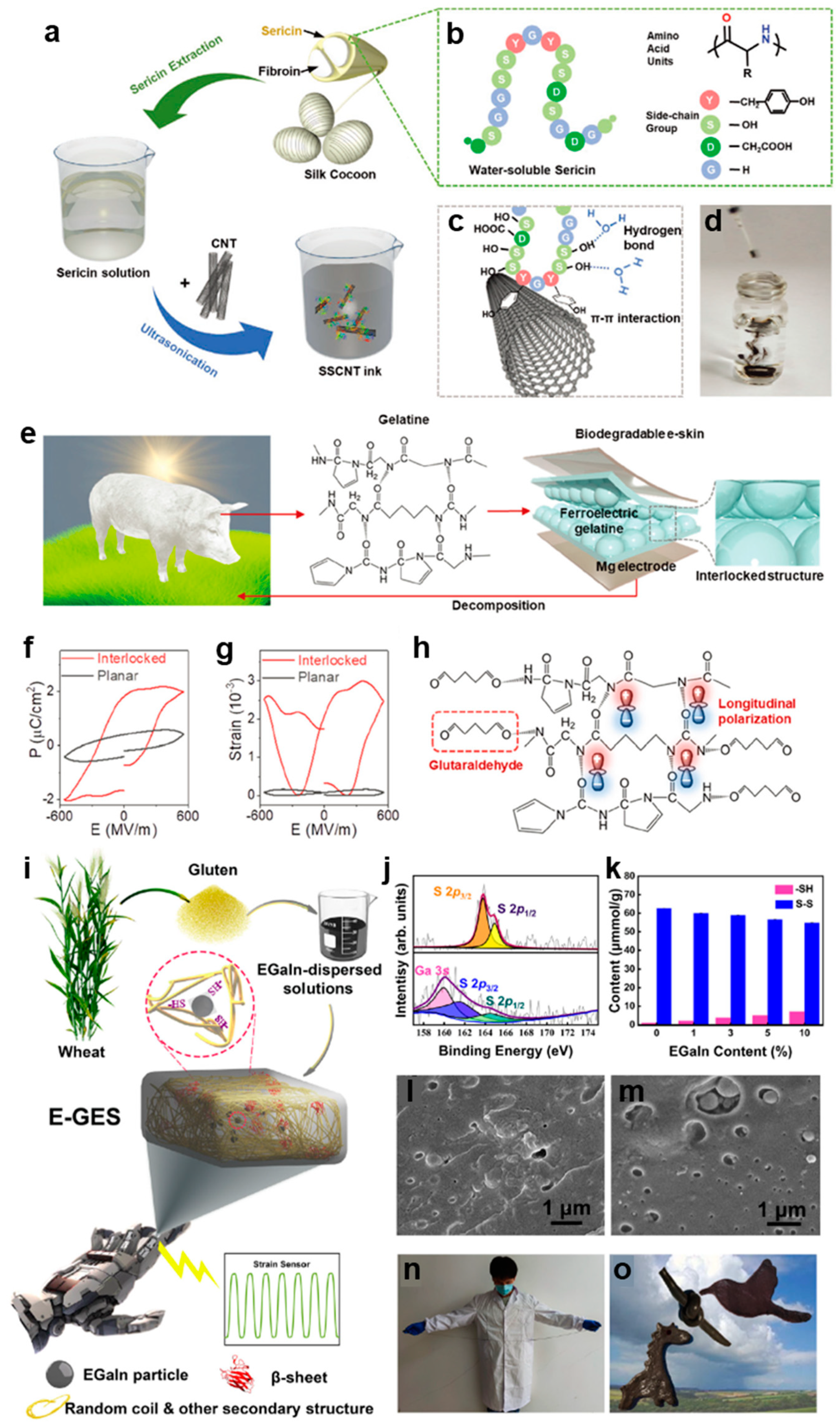 Biosensors 13 00393 g001