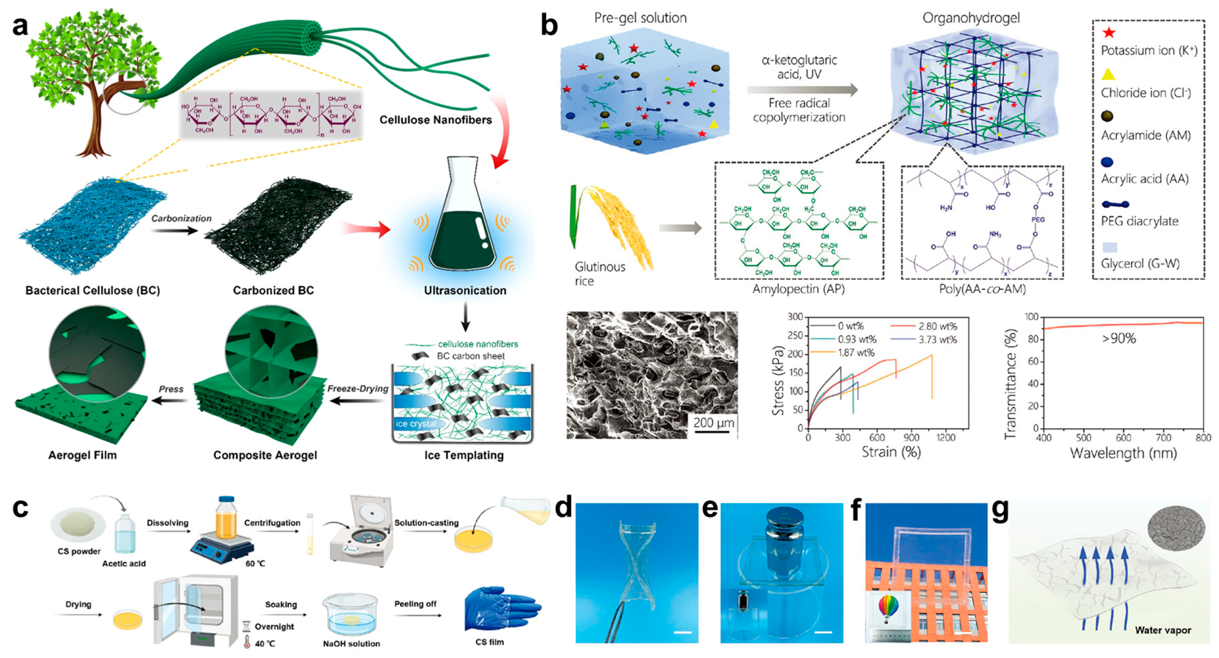 Biosensors 13 00393 g002