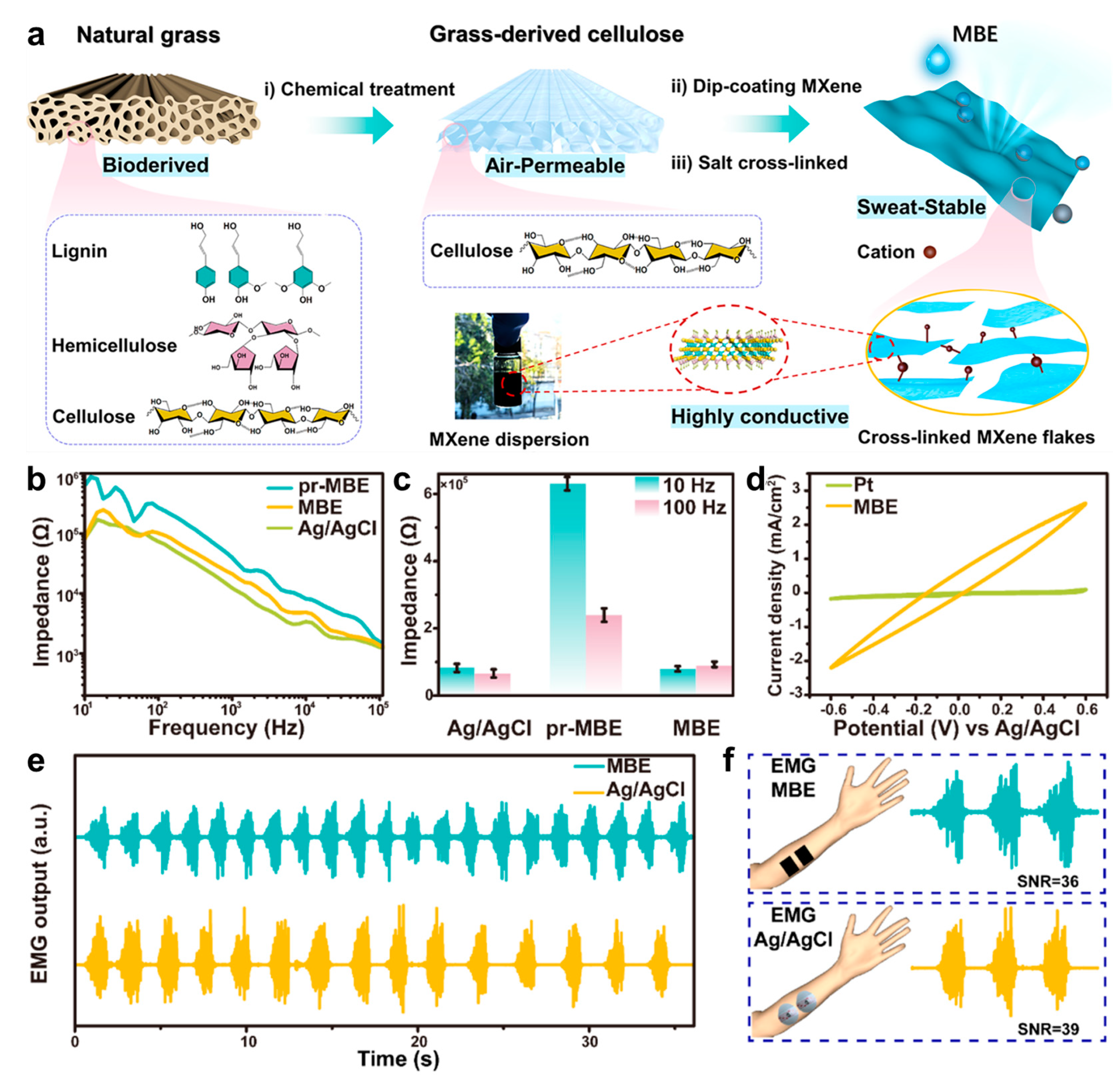 Biosensors 13 00393 g004