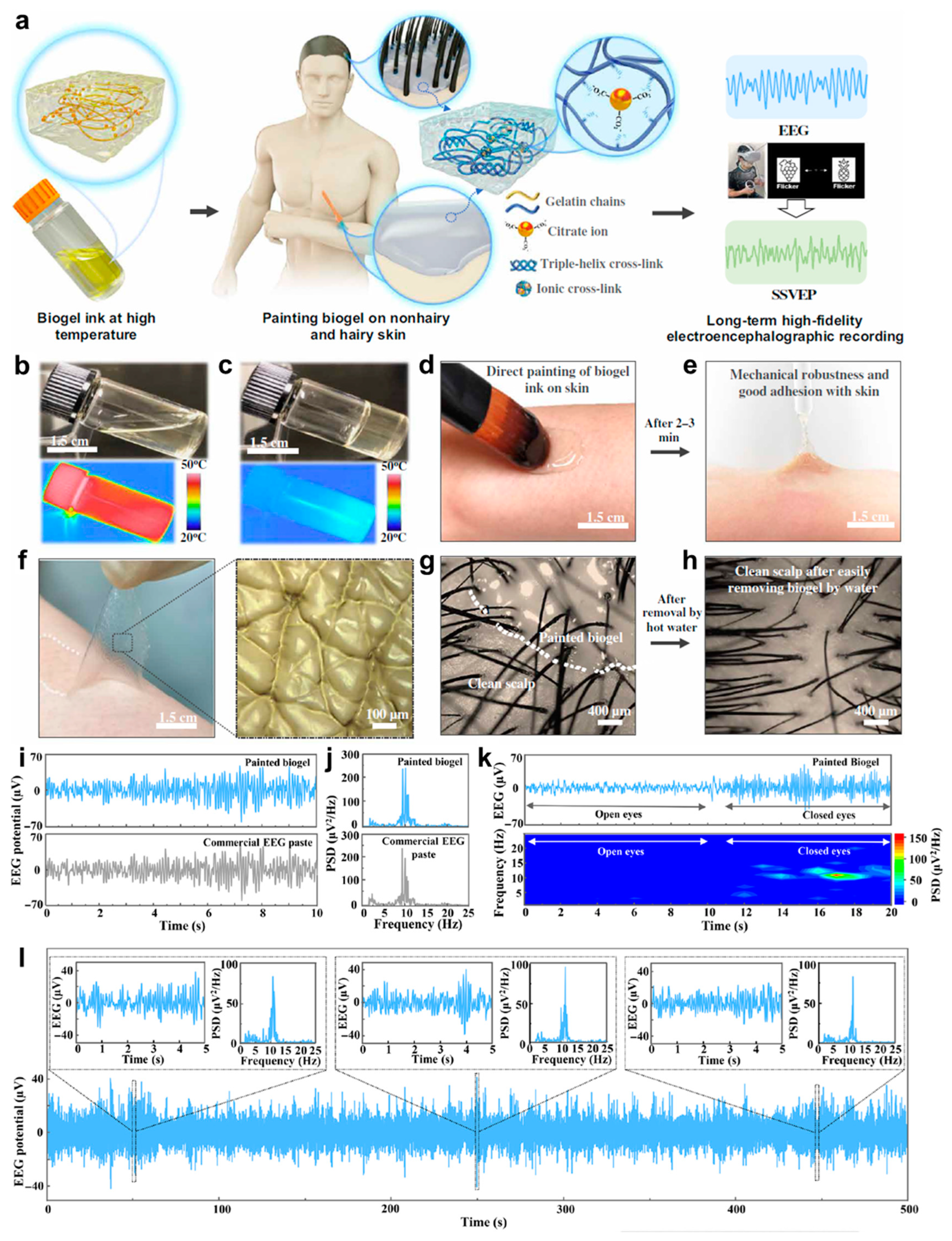 Biosensors 13 00393 g005