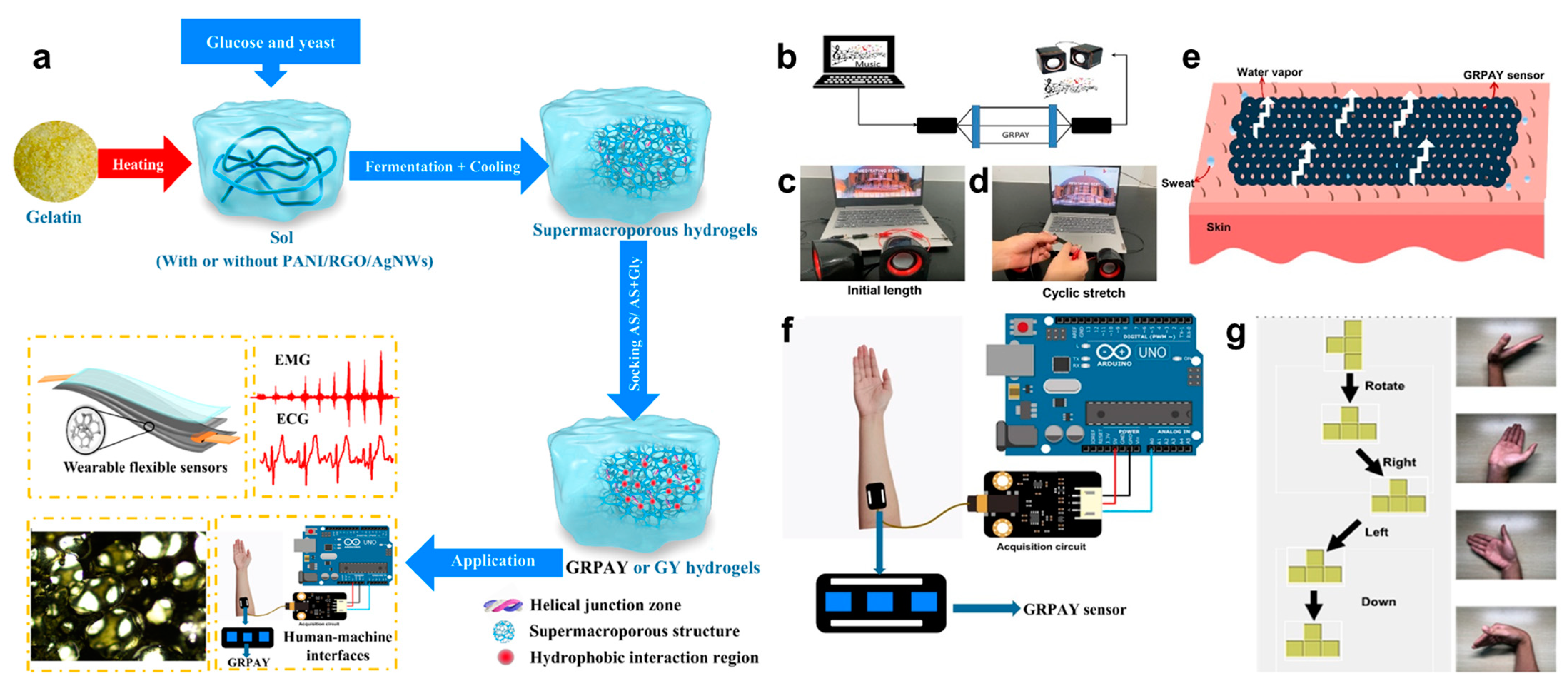 Biosensors 13 00393 g007