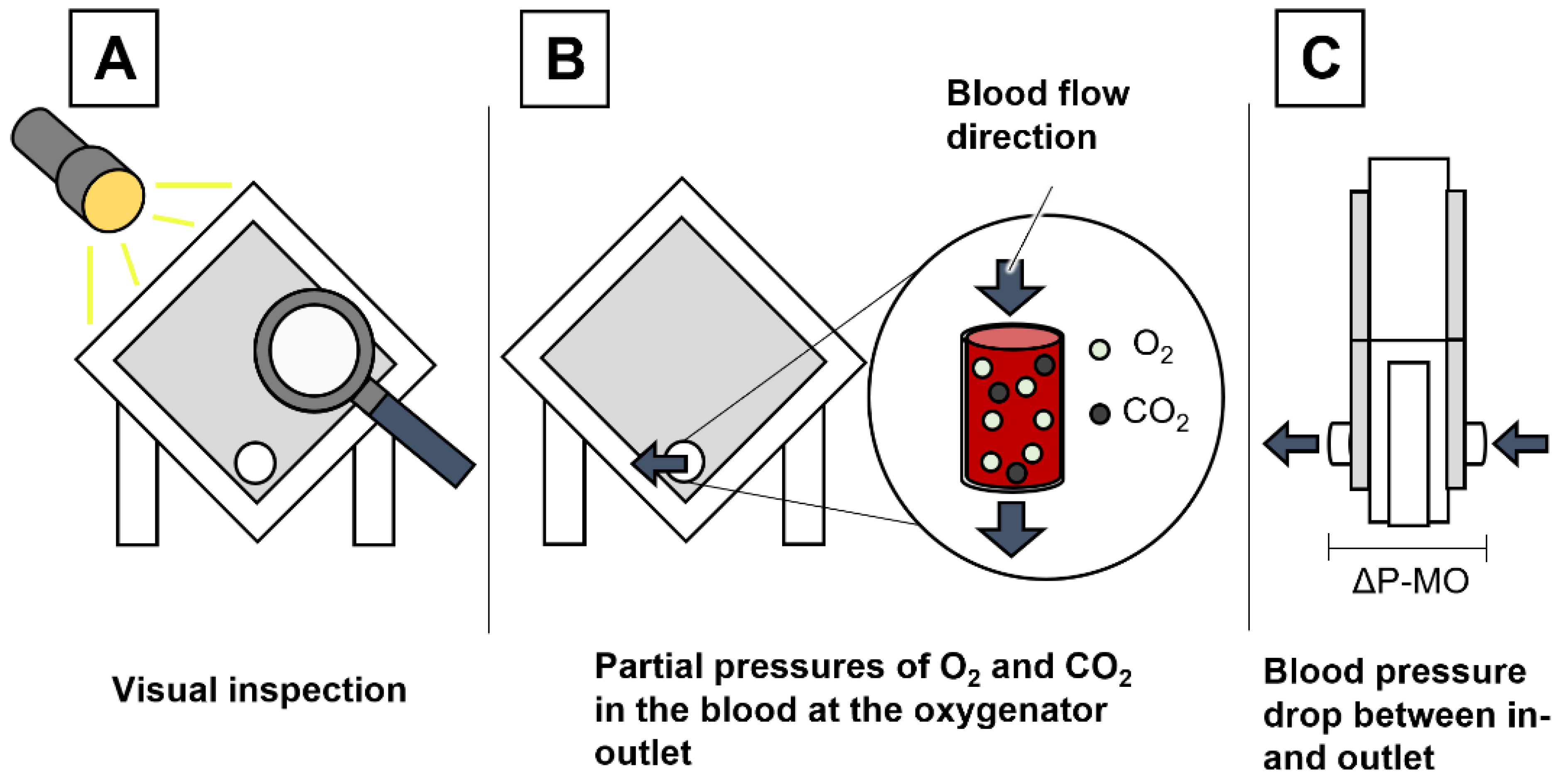Biosensors 13 00394 g001