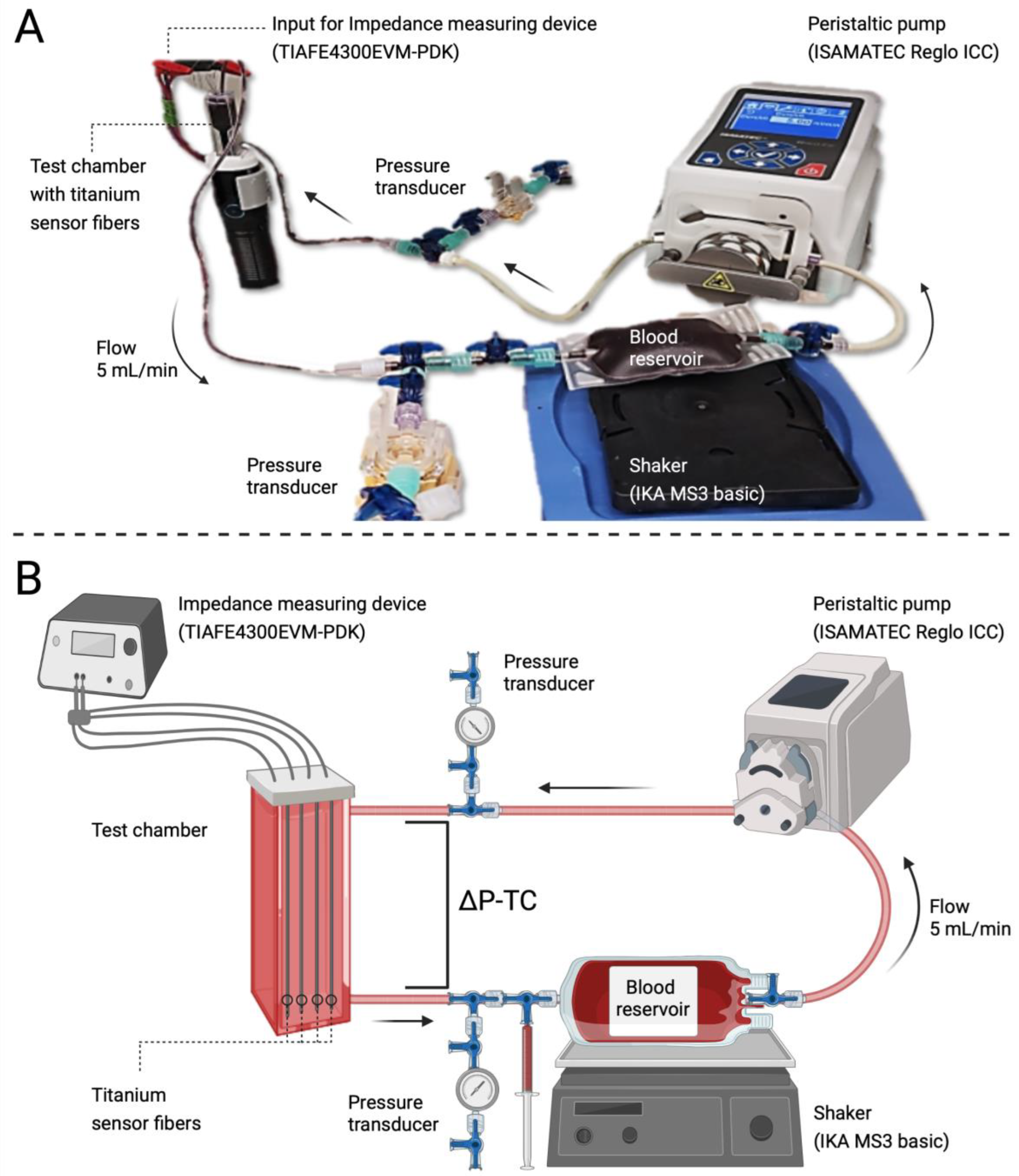 Biosensors 13 00394 g002