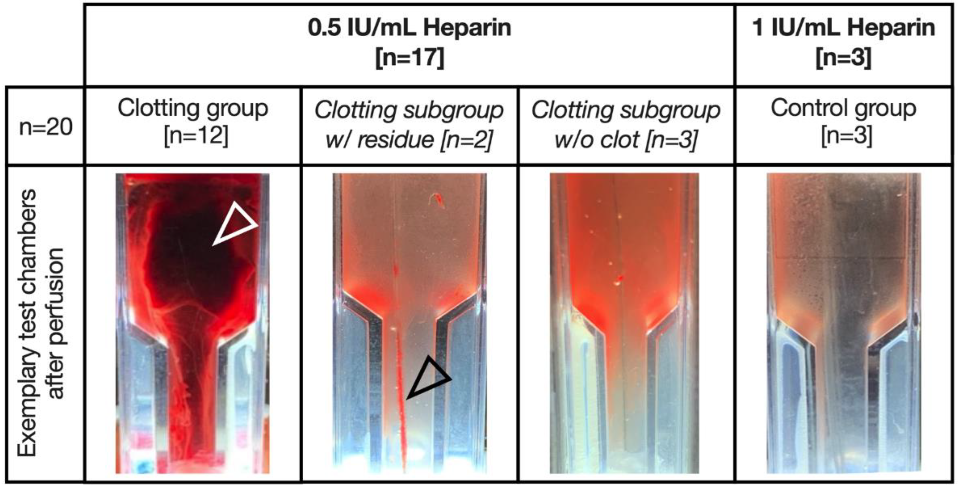 Biosensors 13 00394 g005