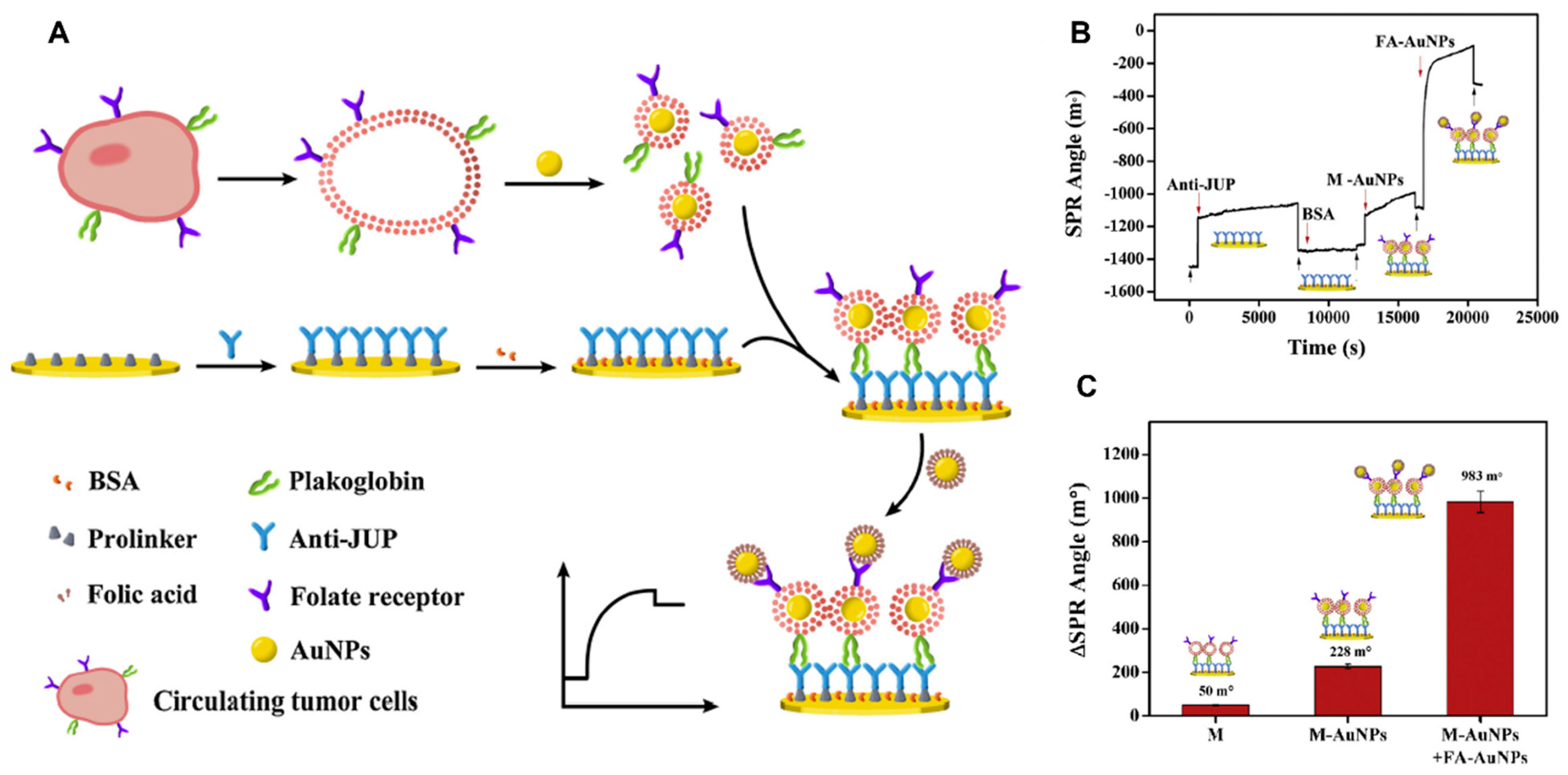 Biosensors 13 00396 g005