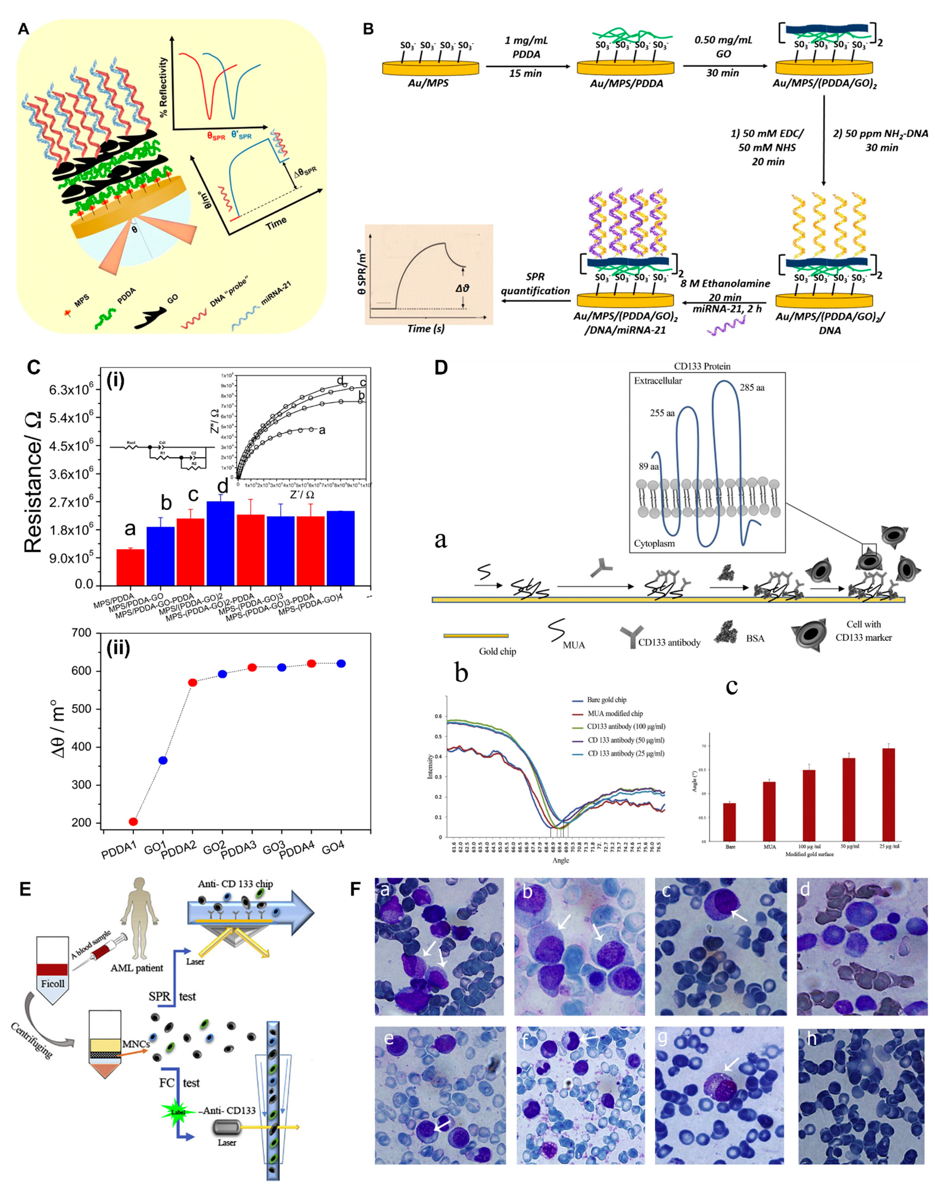 Biosensors 13 00396 g006