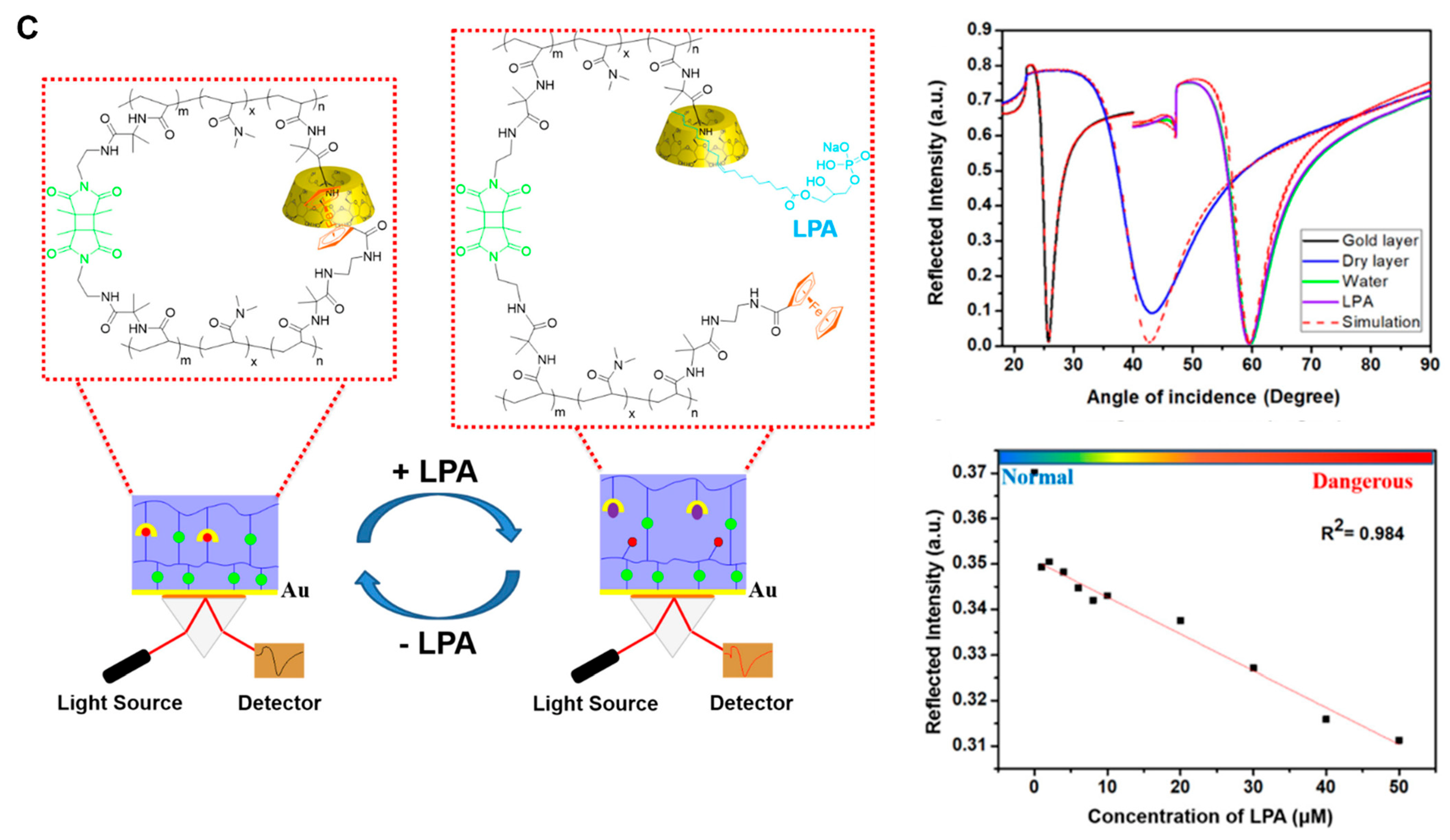 Biosensors 13 00396 g007b