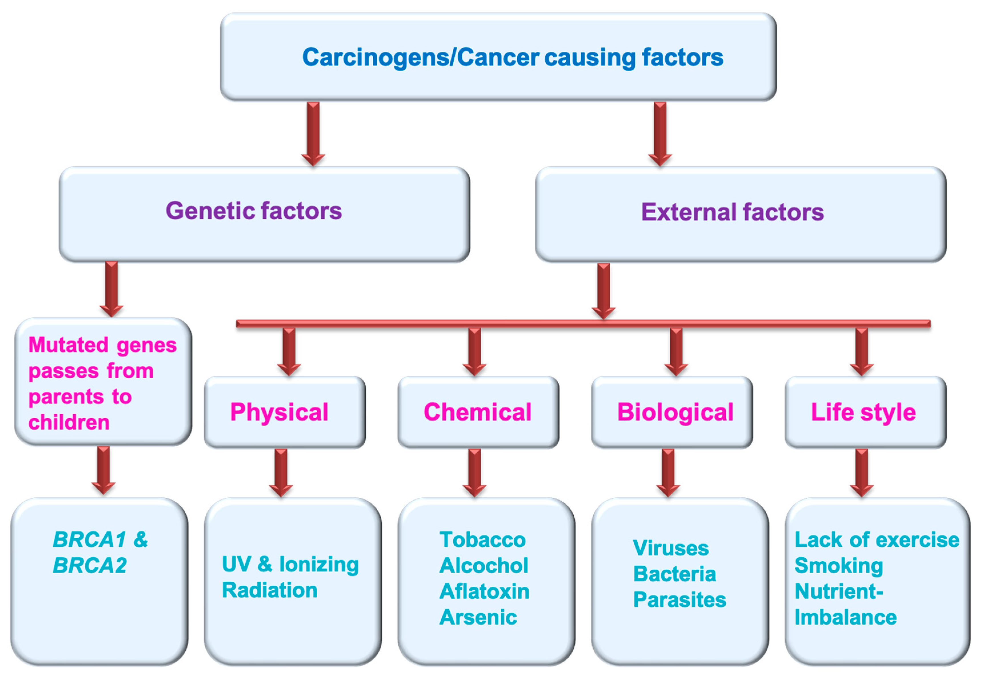 Biosensors 13 00398 g001
