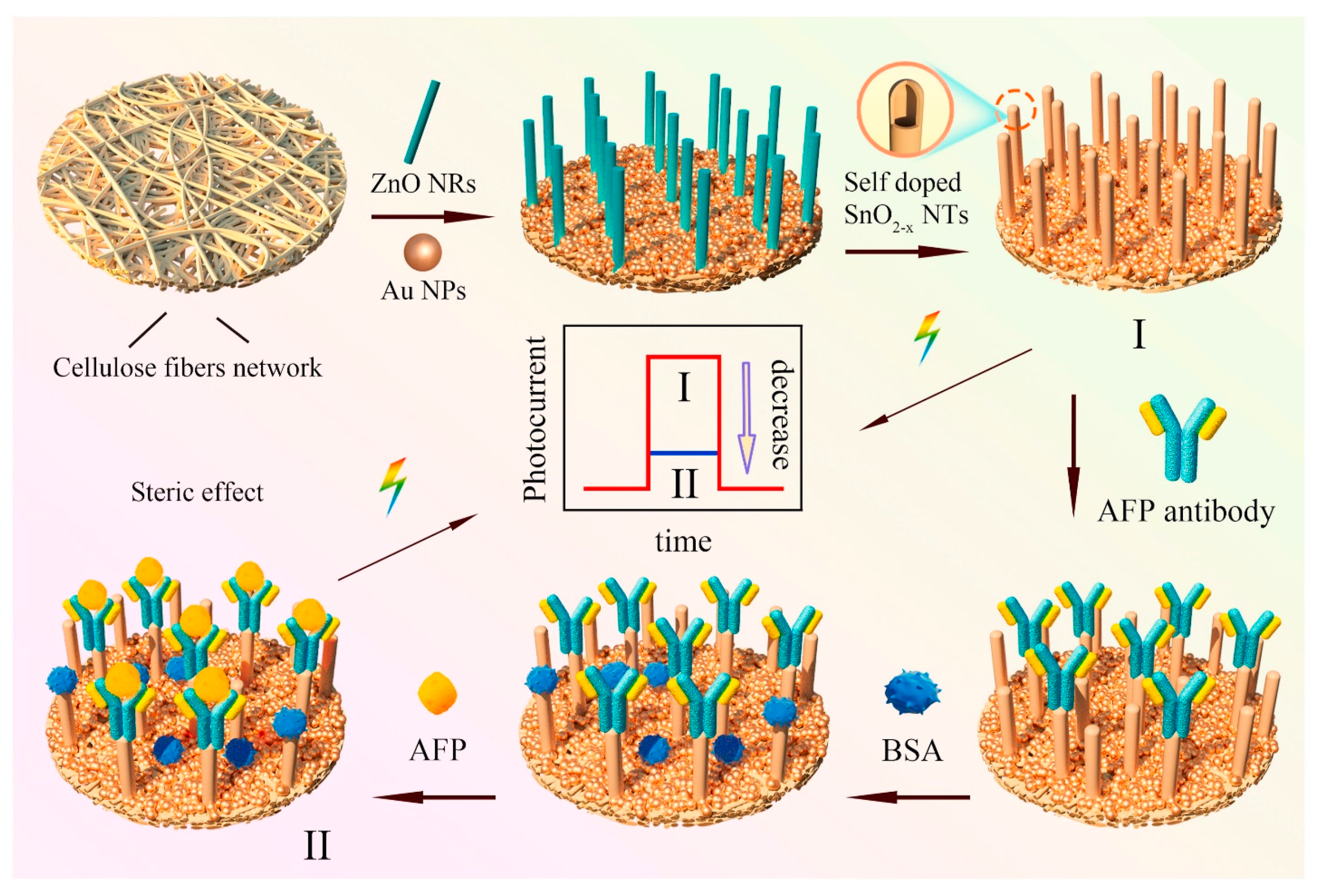 Biosensors 13 00398 g003