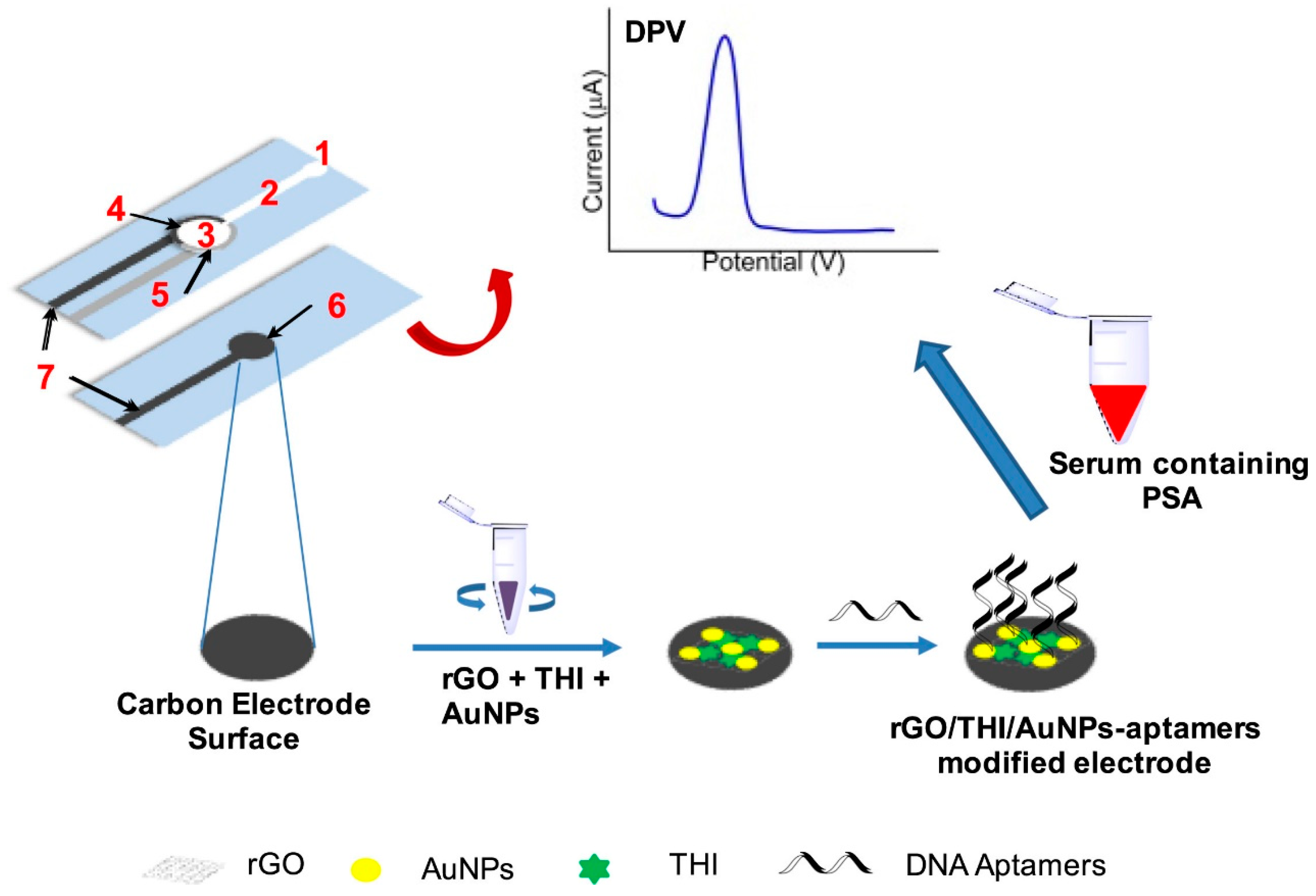 Biosensors 13 00398 g004