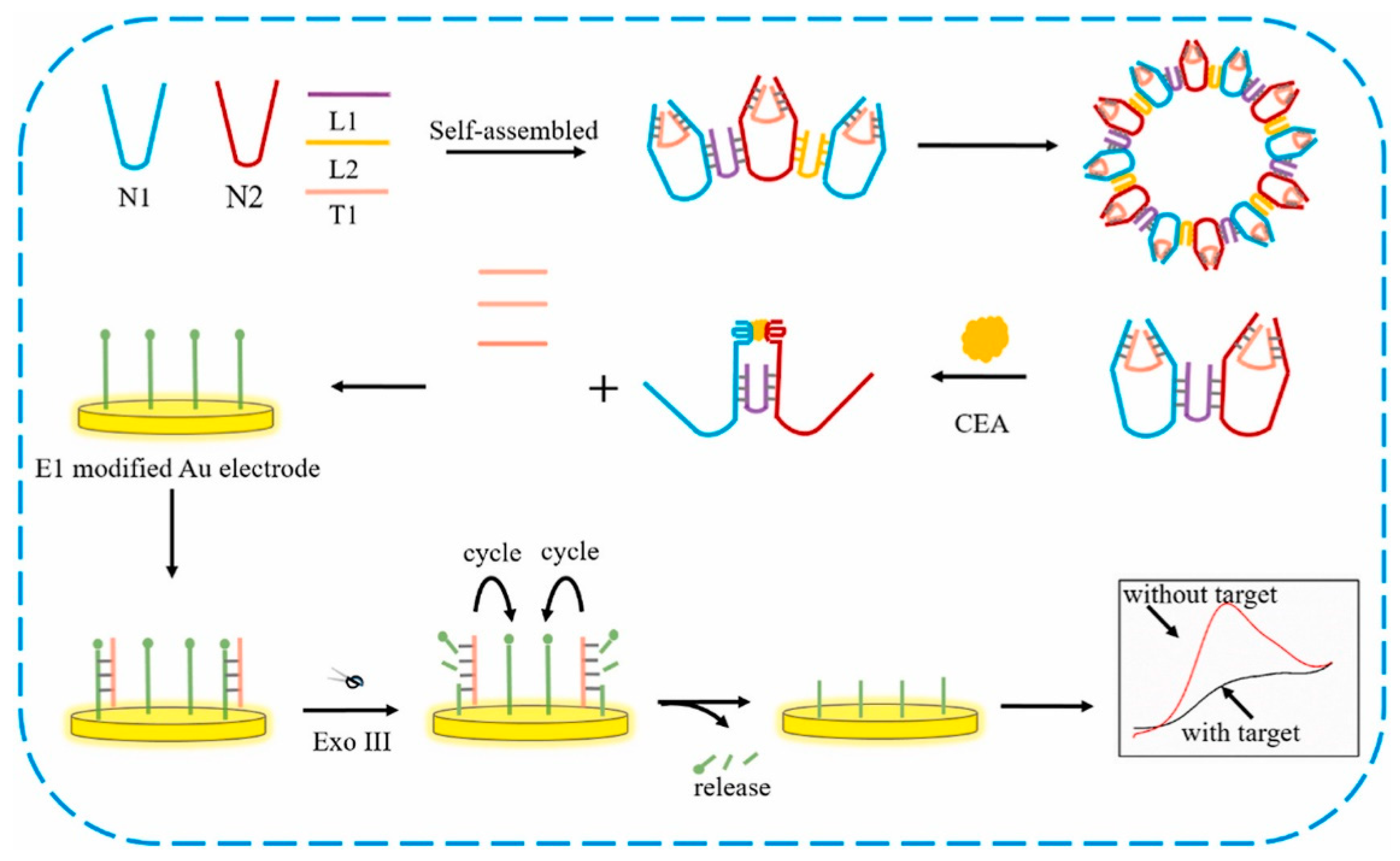 Biosensors 13 00398 g005