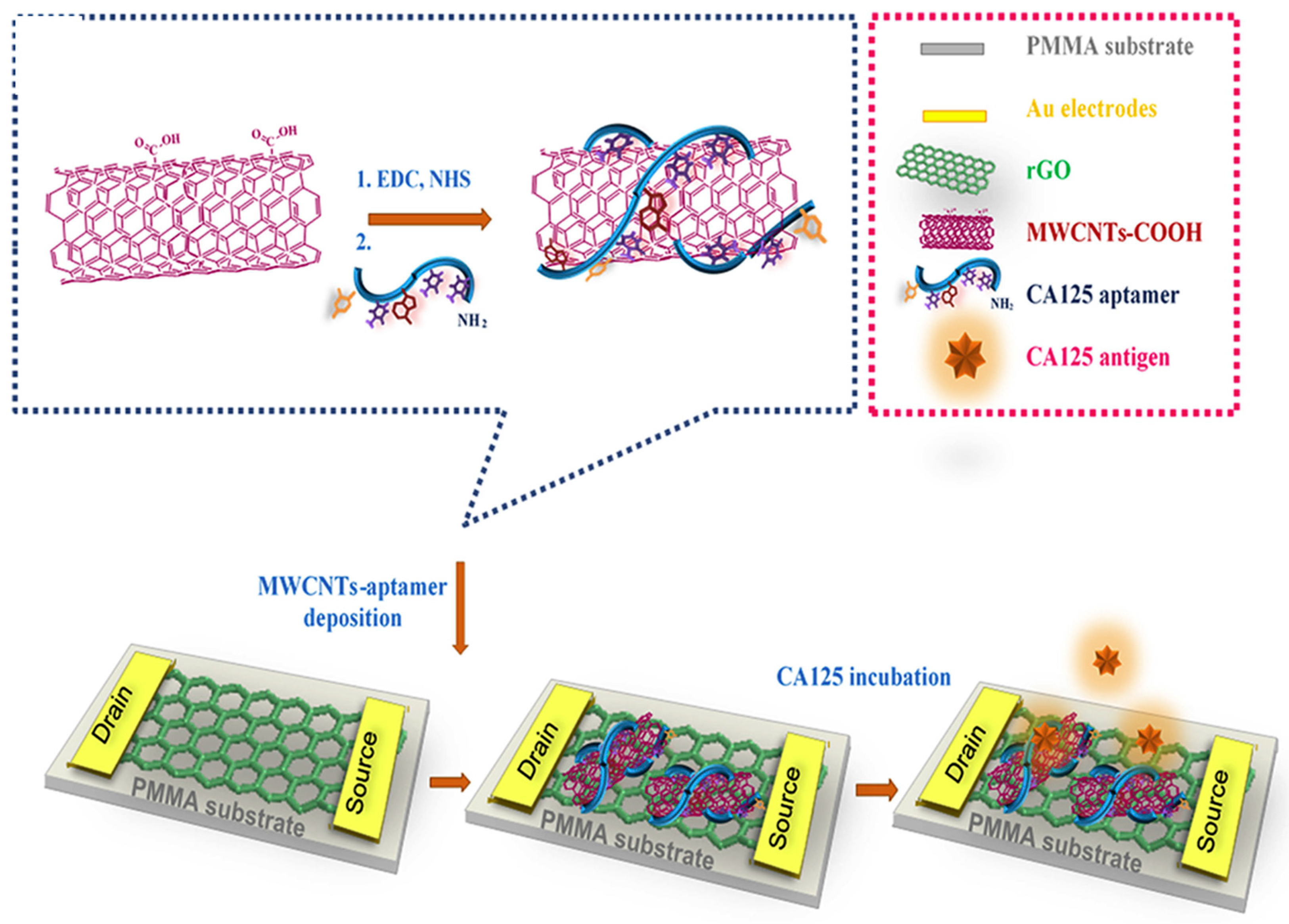 Biosensors 13 00398 g006