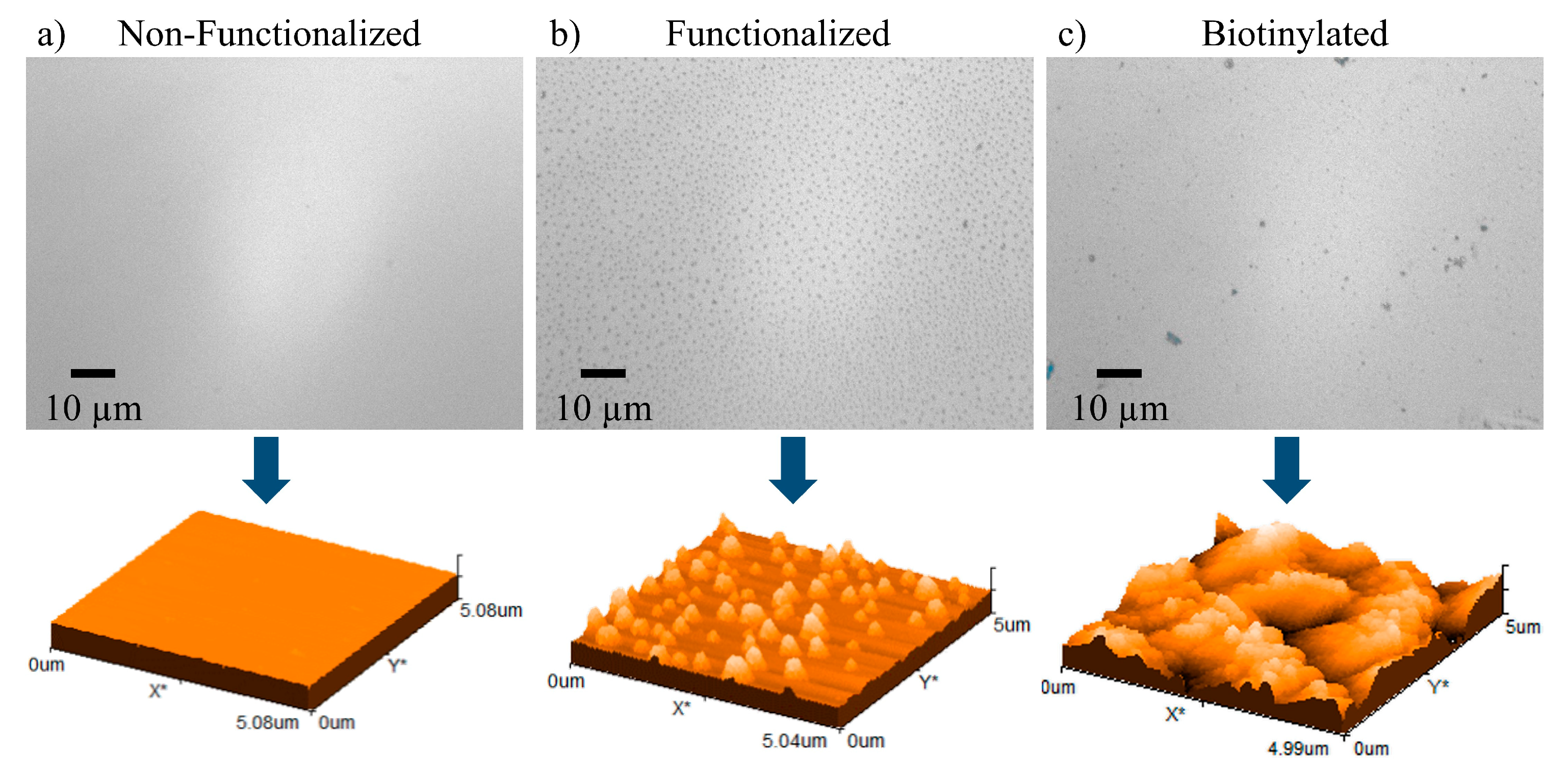 Biosensors 13 00399 g002 Biosensors 13 00399 g002