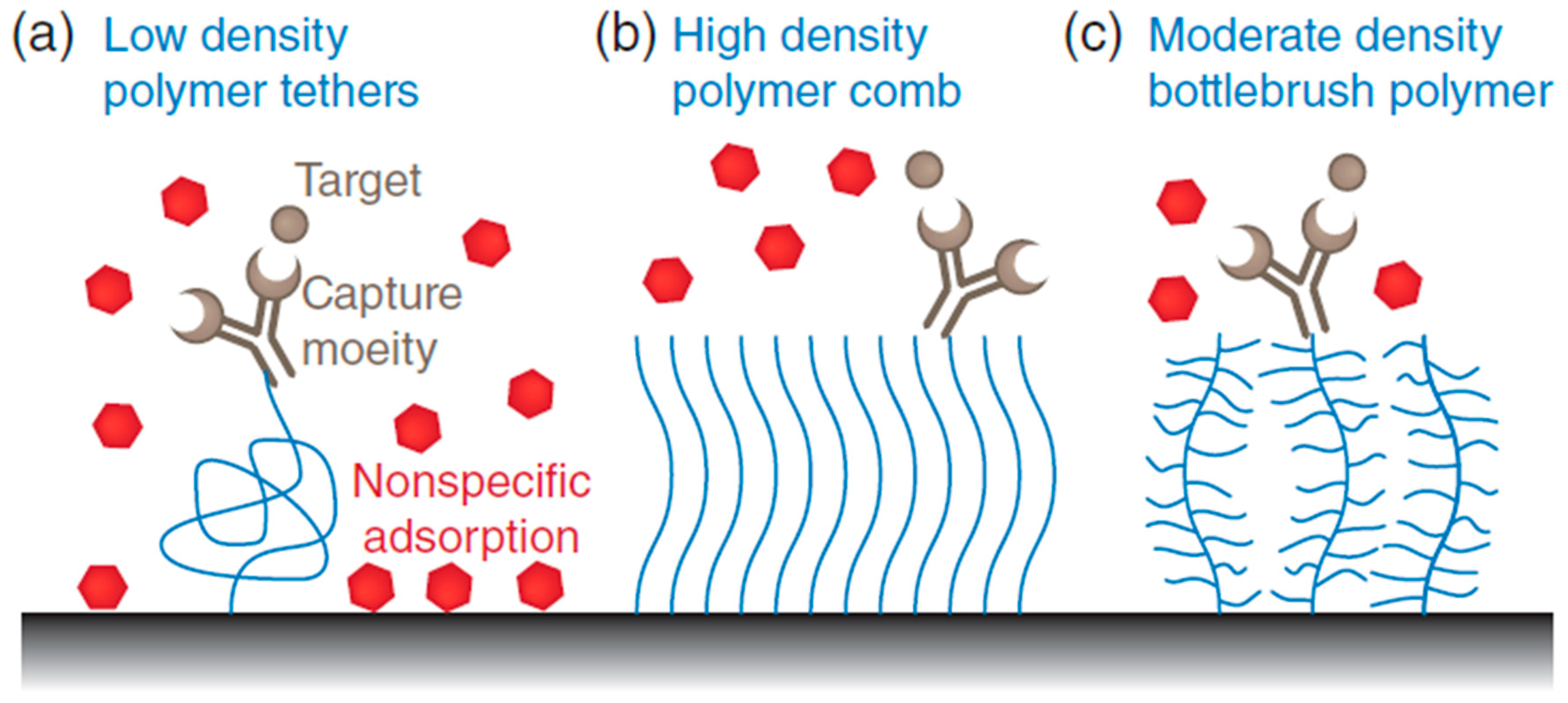 Biosensors 13 00400 g002