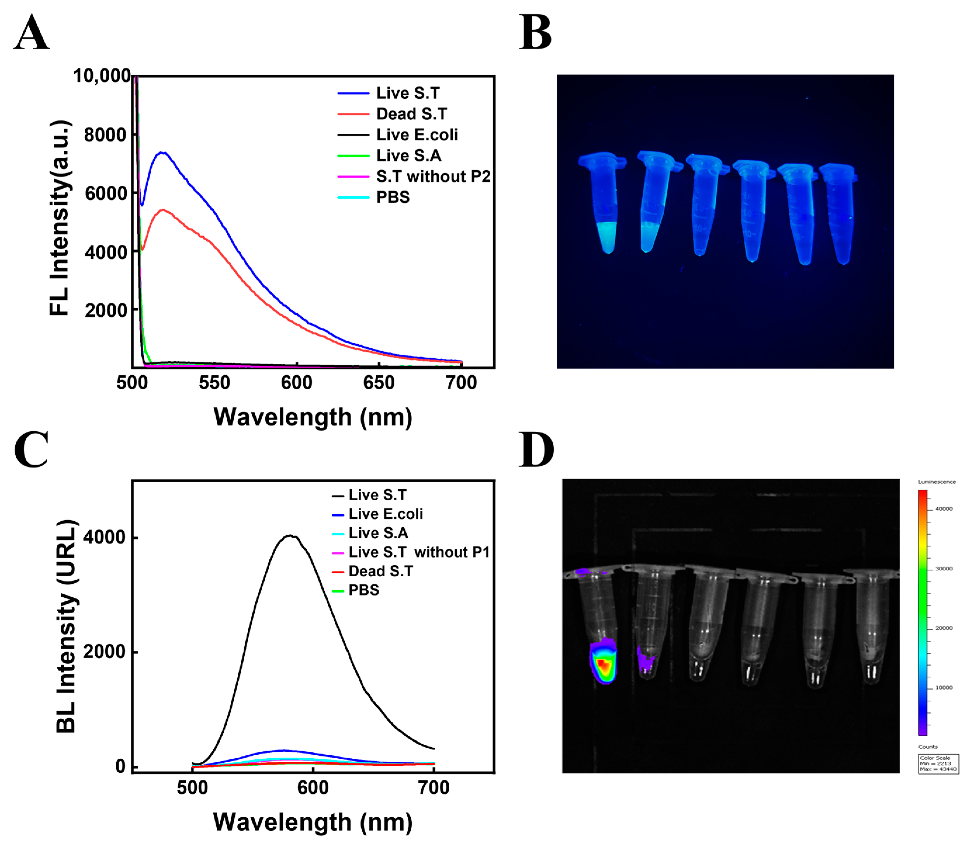 Biosensors 13 00401 g003