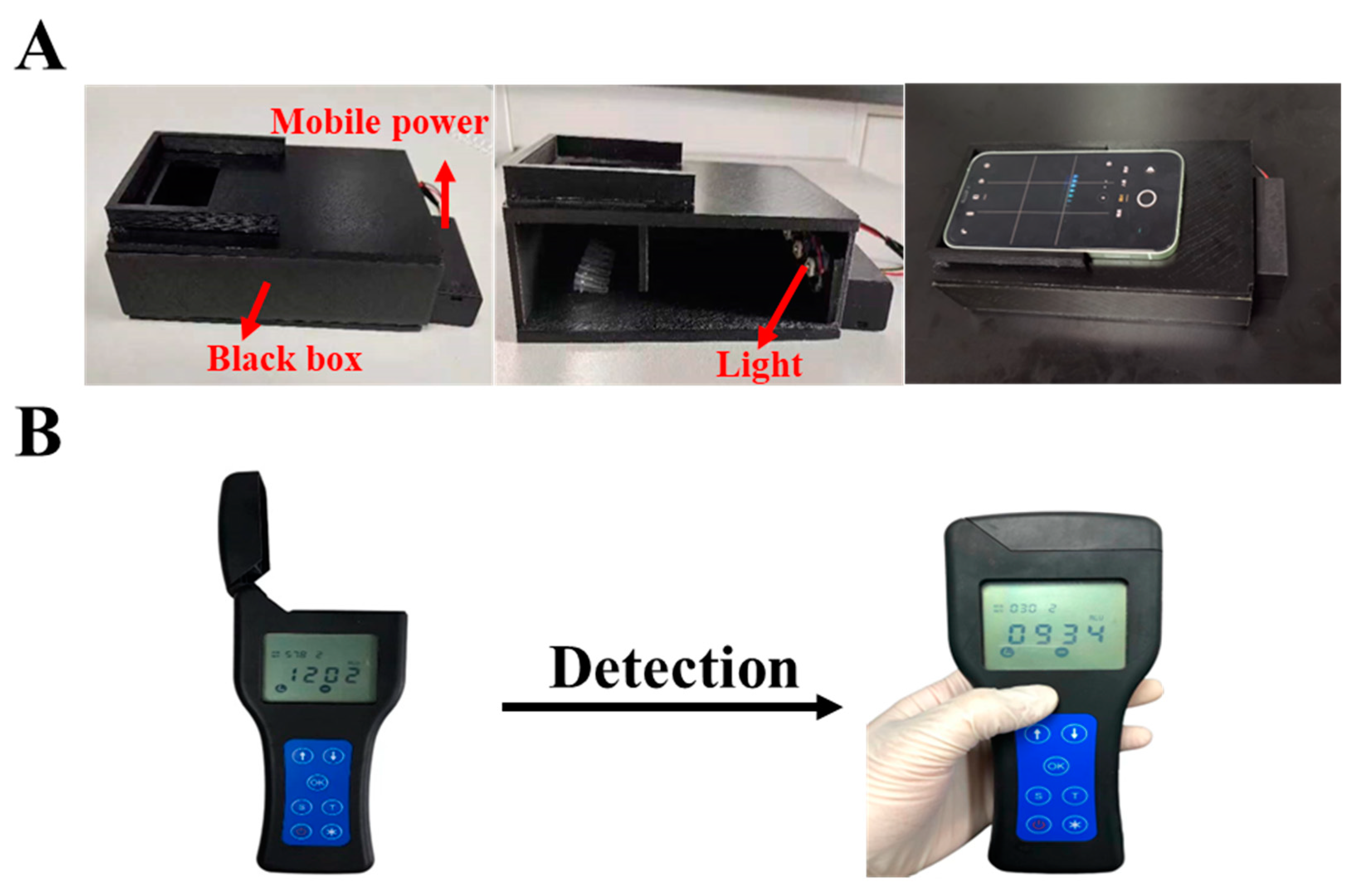 Biosensors 13 00401 g006