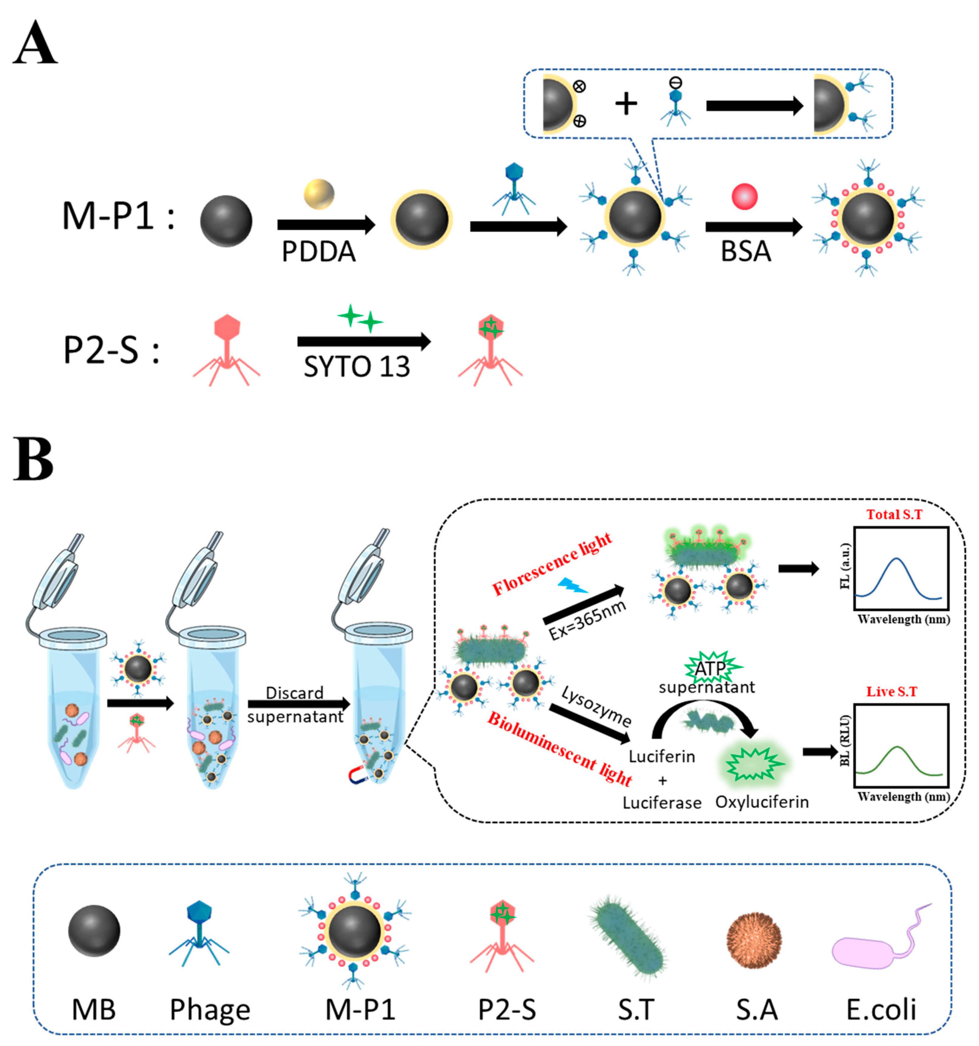 Biosensors 13 00401 sch001