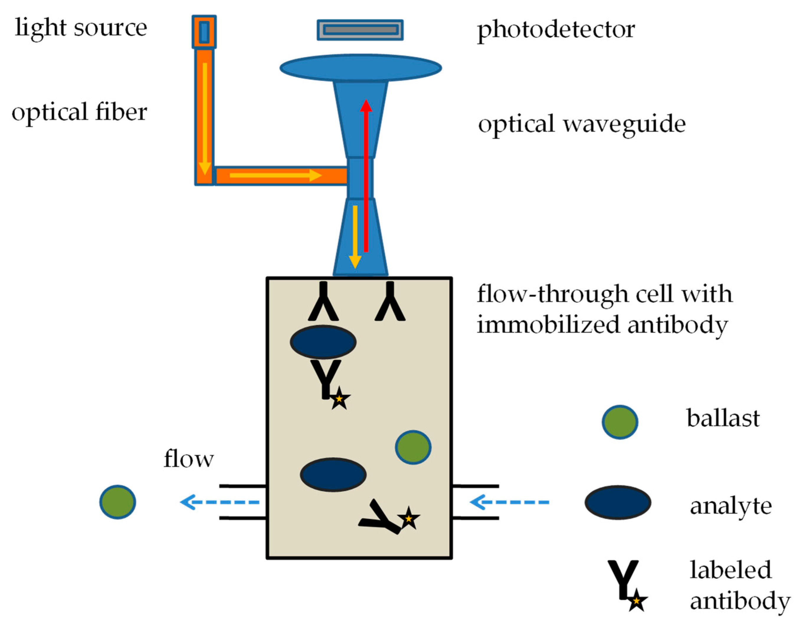 Biosensors 13 00402 g002