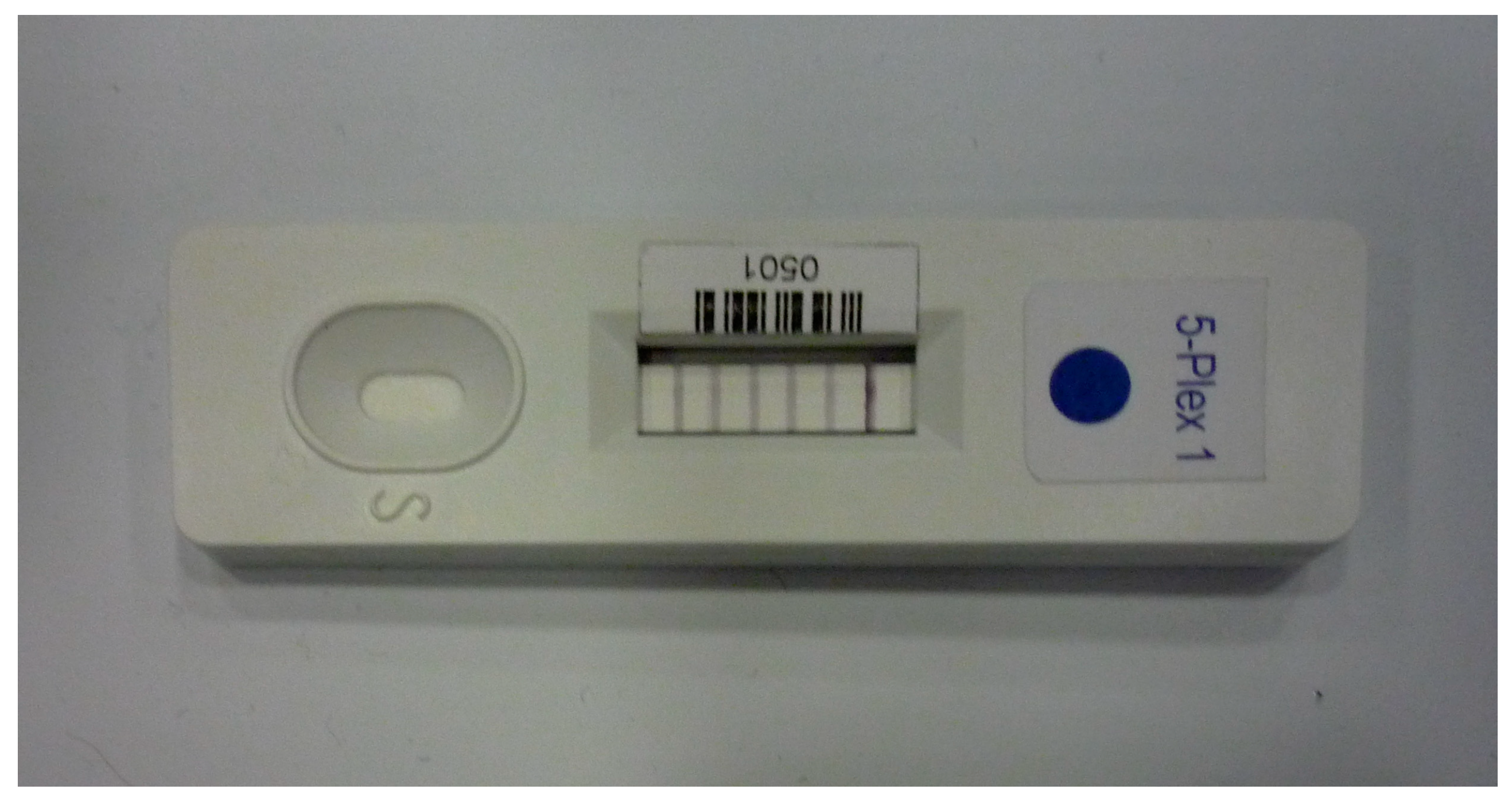 Biosensors 13 00402 g003