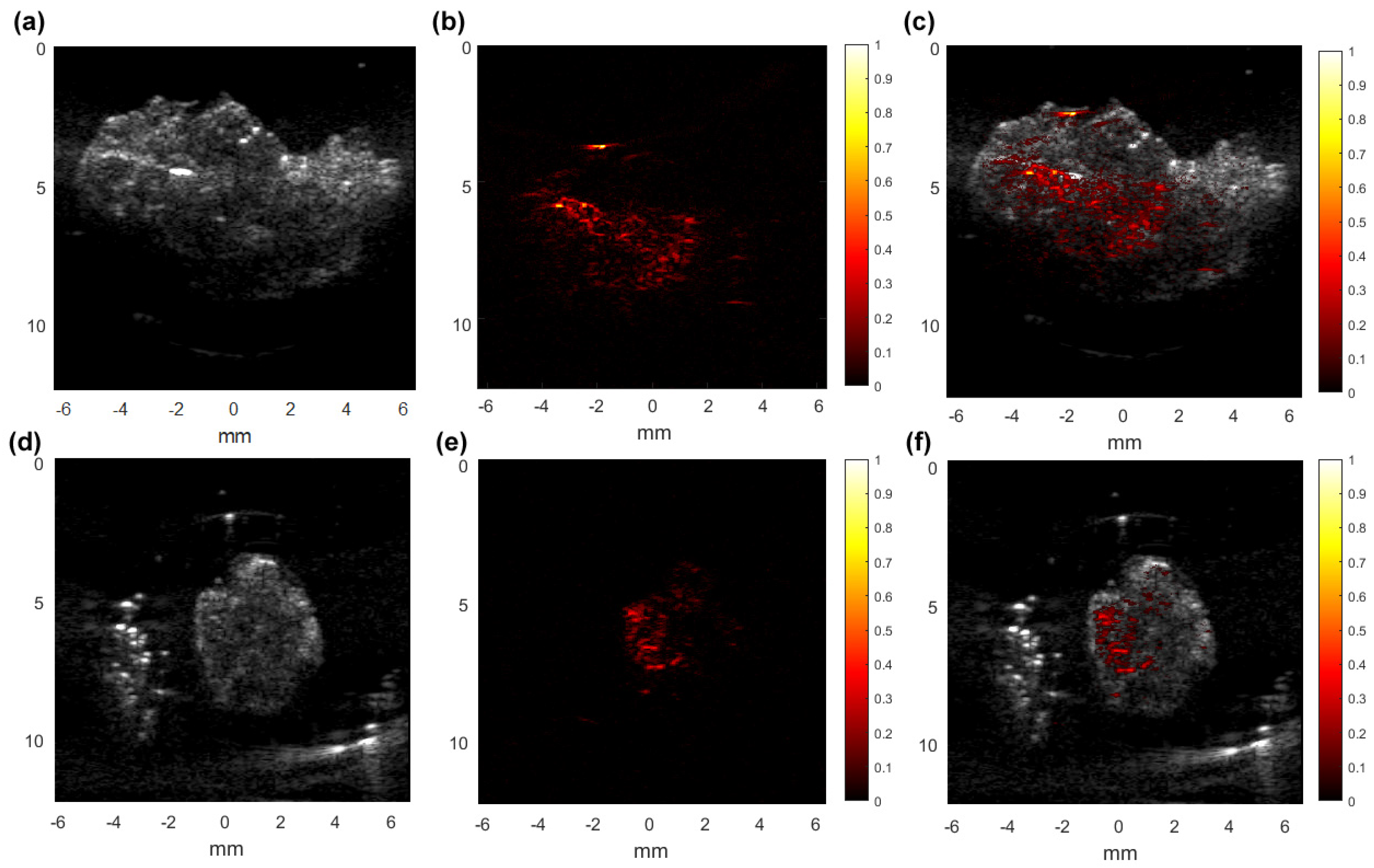Biosensors 13 00403 g005