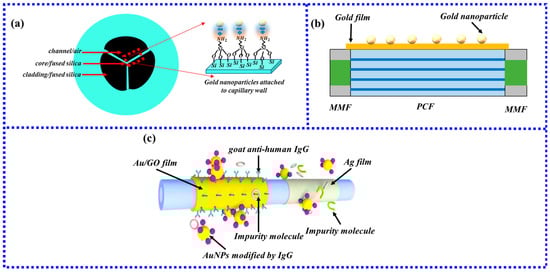 Biosensors 13 00405 g016