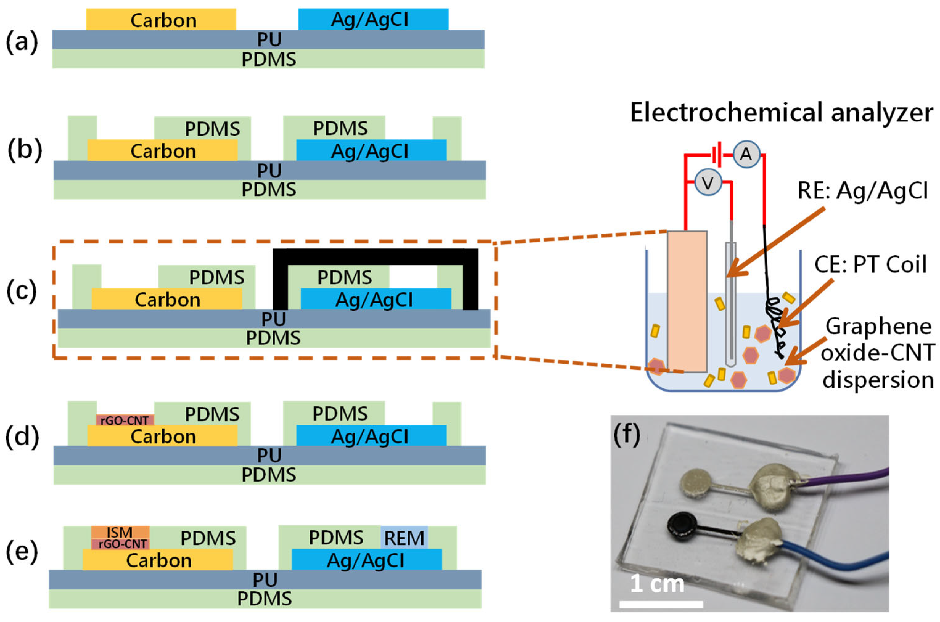 Biosensors 13 00409 g001