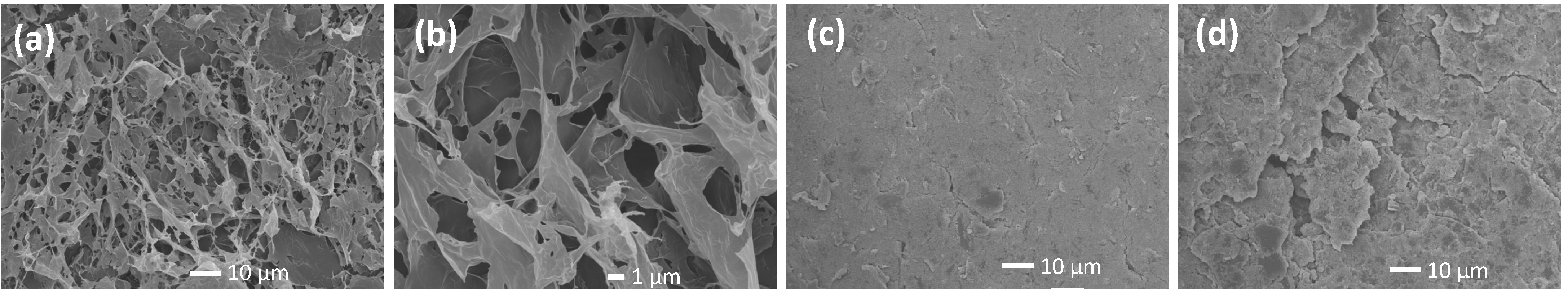 Biosensors 13 00409 g003