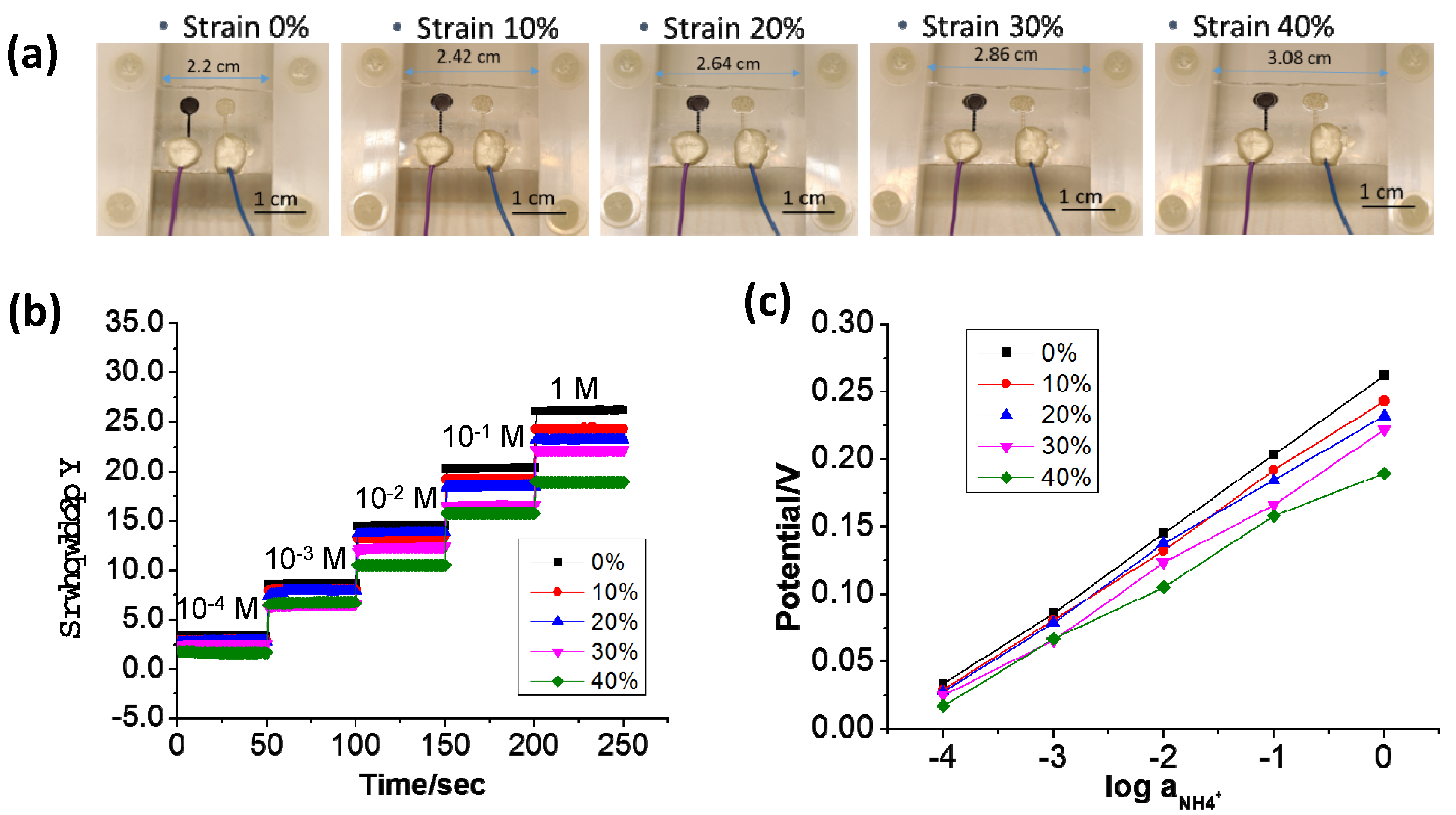 Biosensors 13 00409 g010