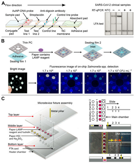 Biosensors 13 00410 g004