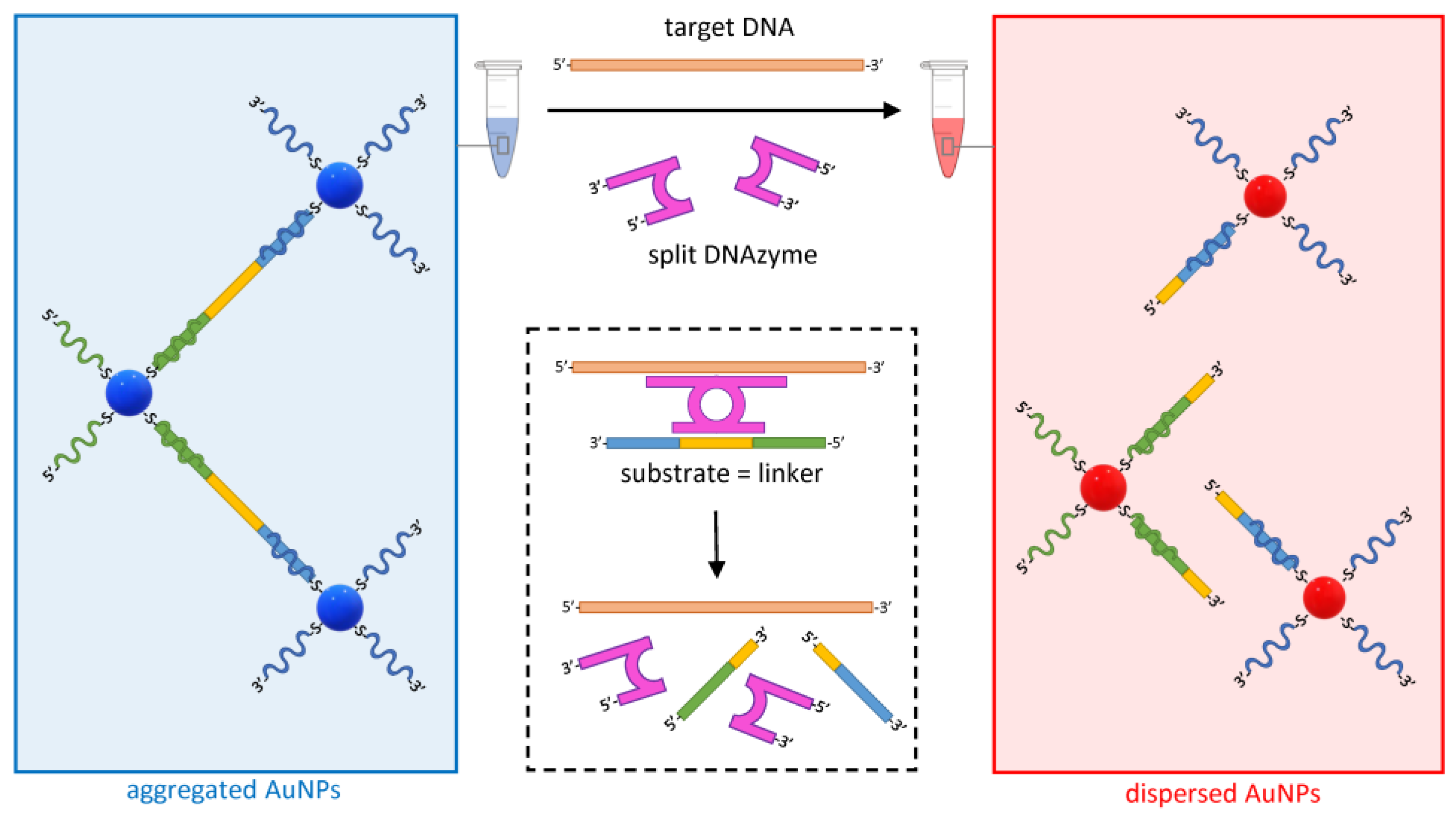 Biosensors 13 00411 g006