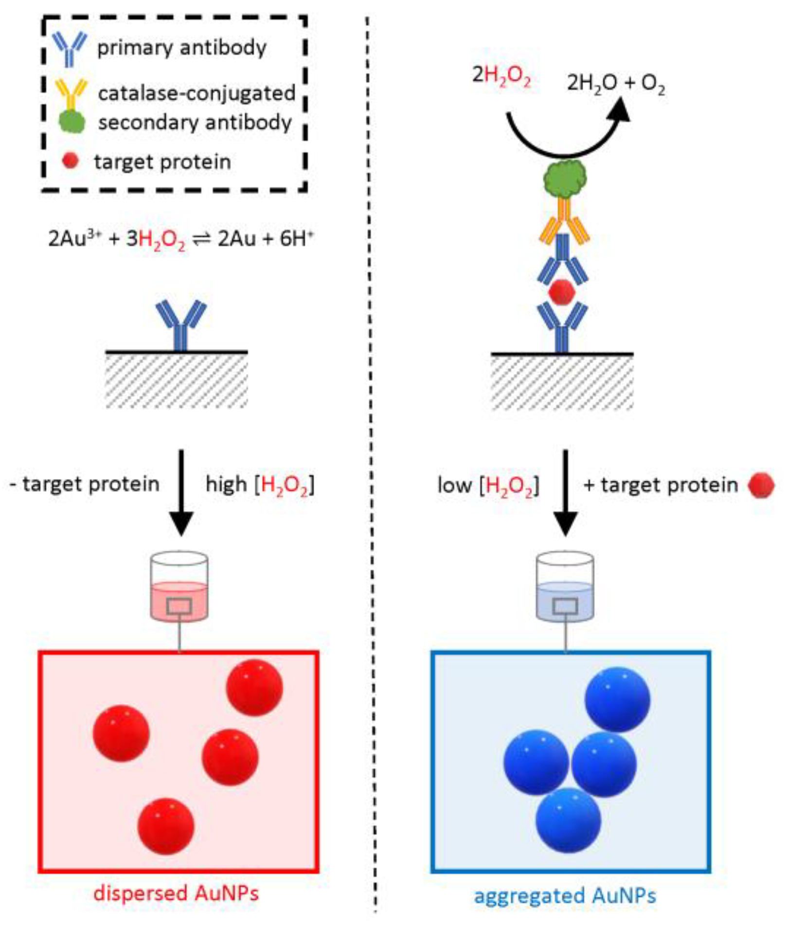 Biosensors 13 00411 g007