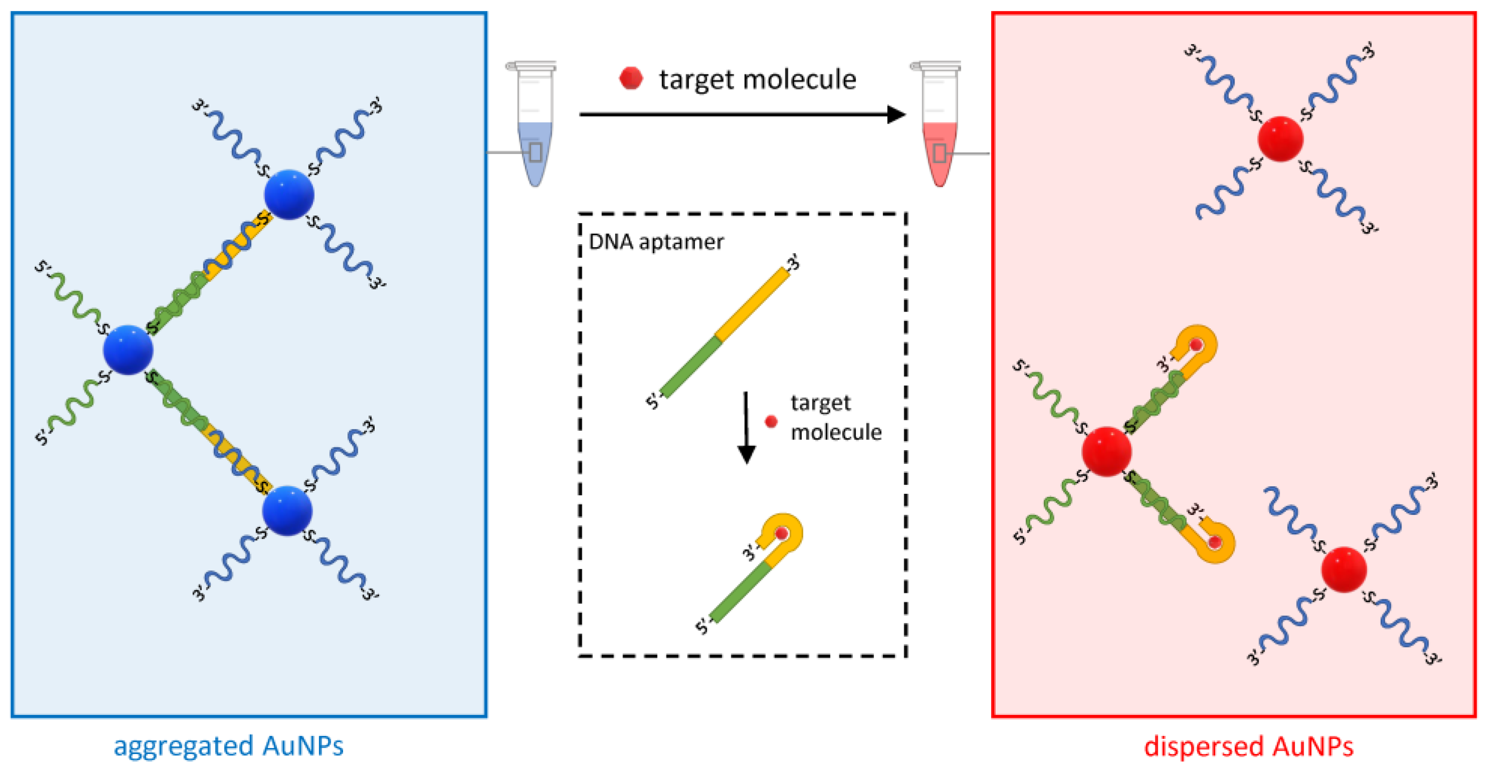 Biosensors 13 00411 g009