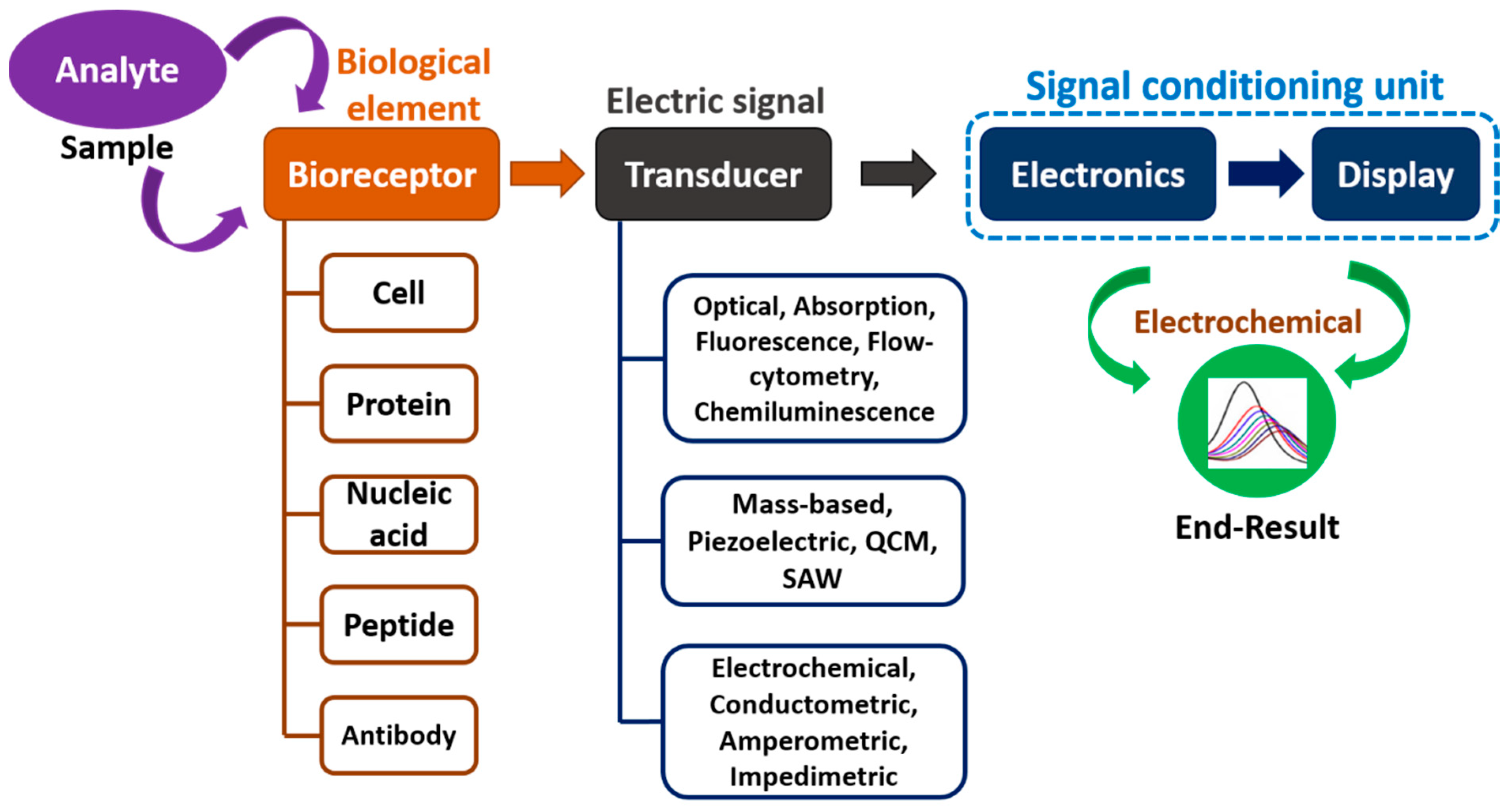Biosensors 13 00412 g001