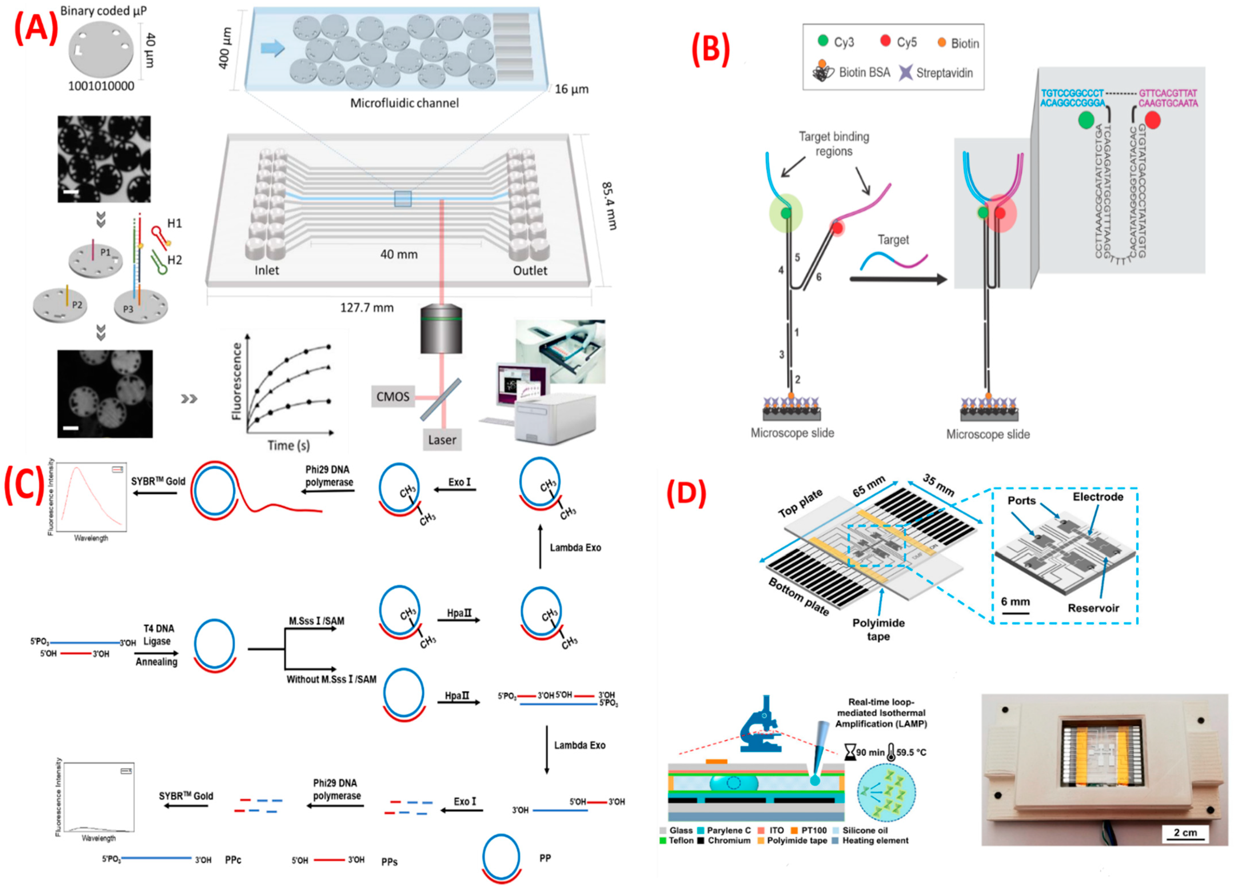 Biosensors 13 00412 g004
