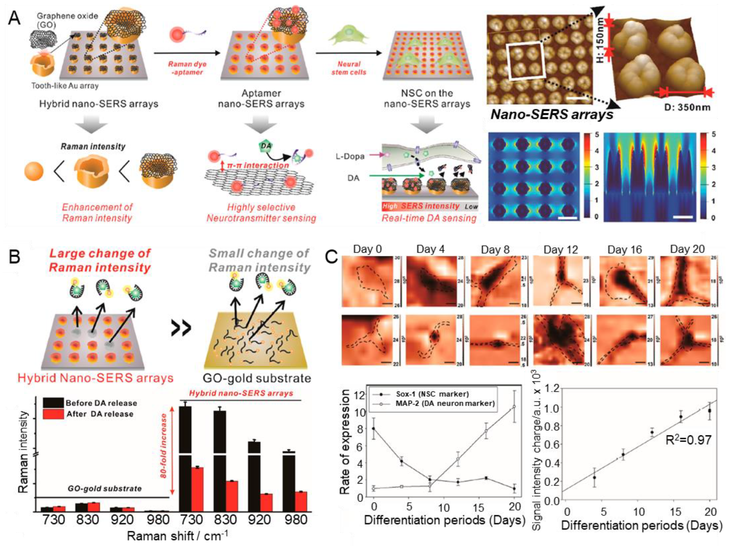 Biosensors 13 00413 g005