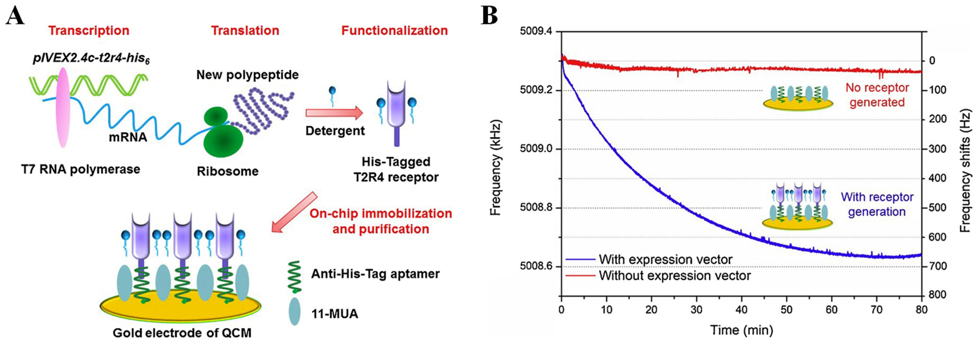 Biosensors 13 00414 g004