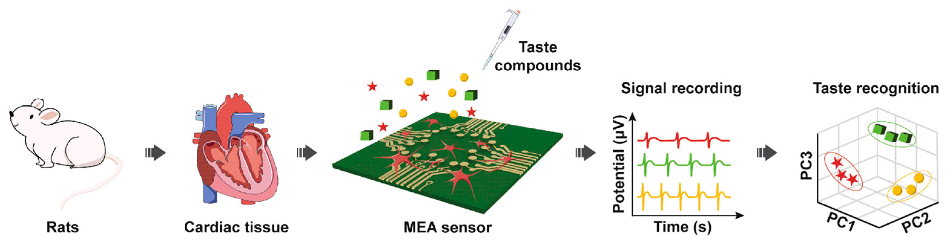 Biosensors 13 00414 g006