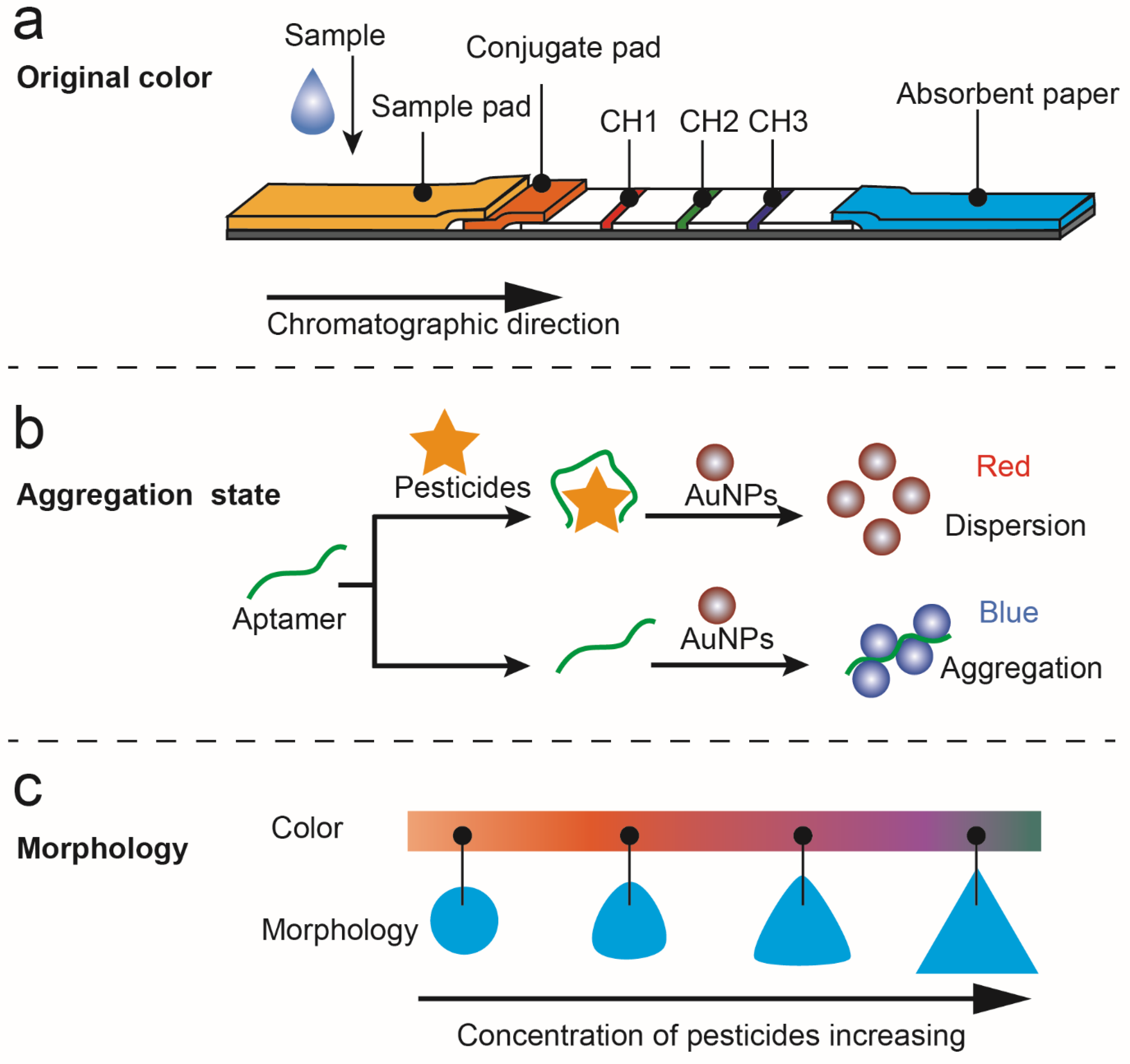 Biosensors 13 00415 g002