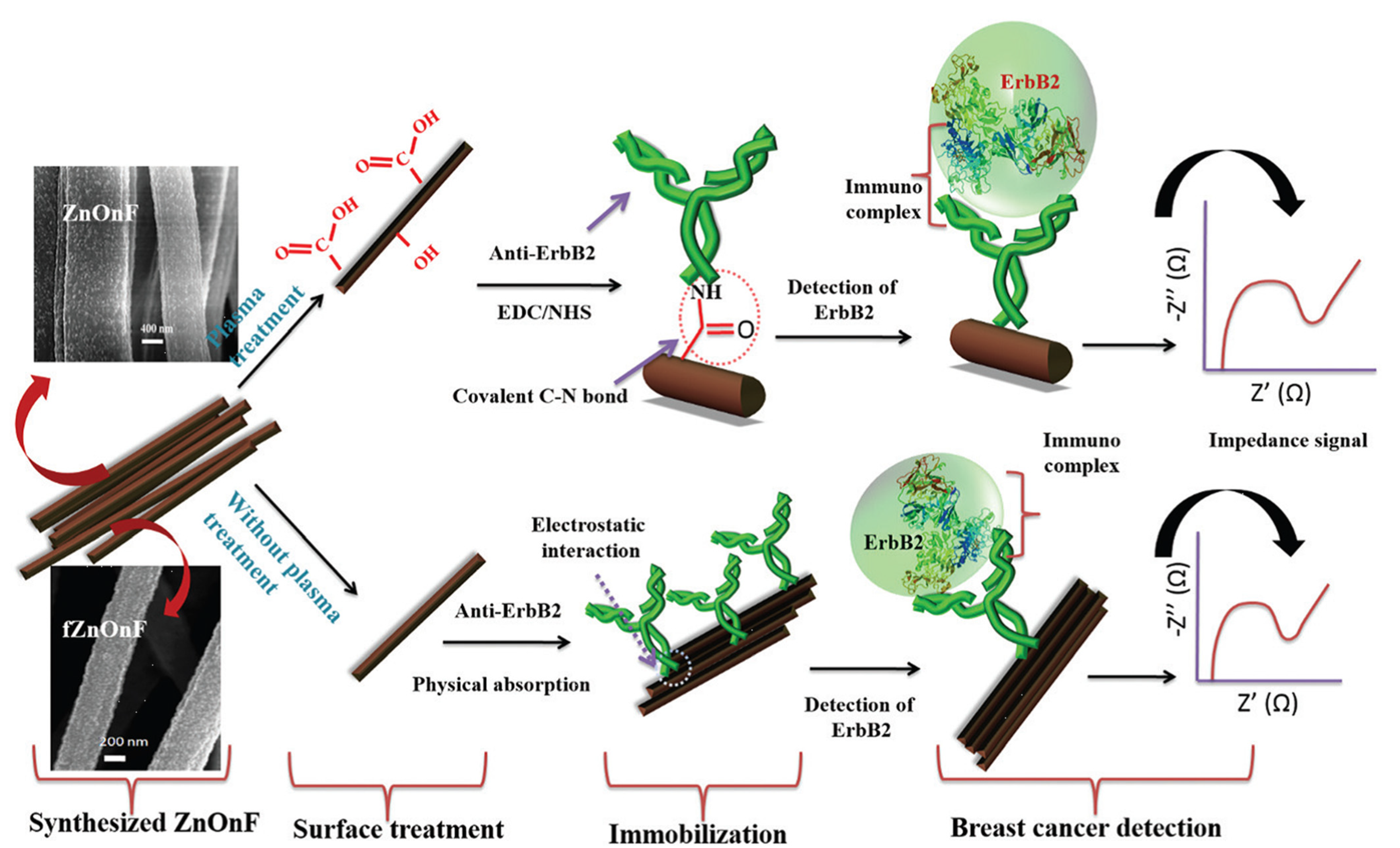 Biosensors 13 00416 g001