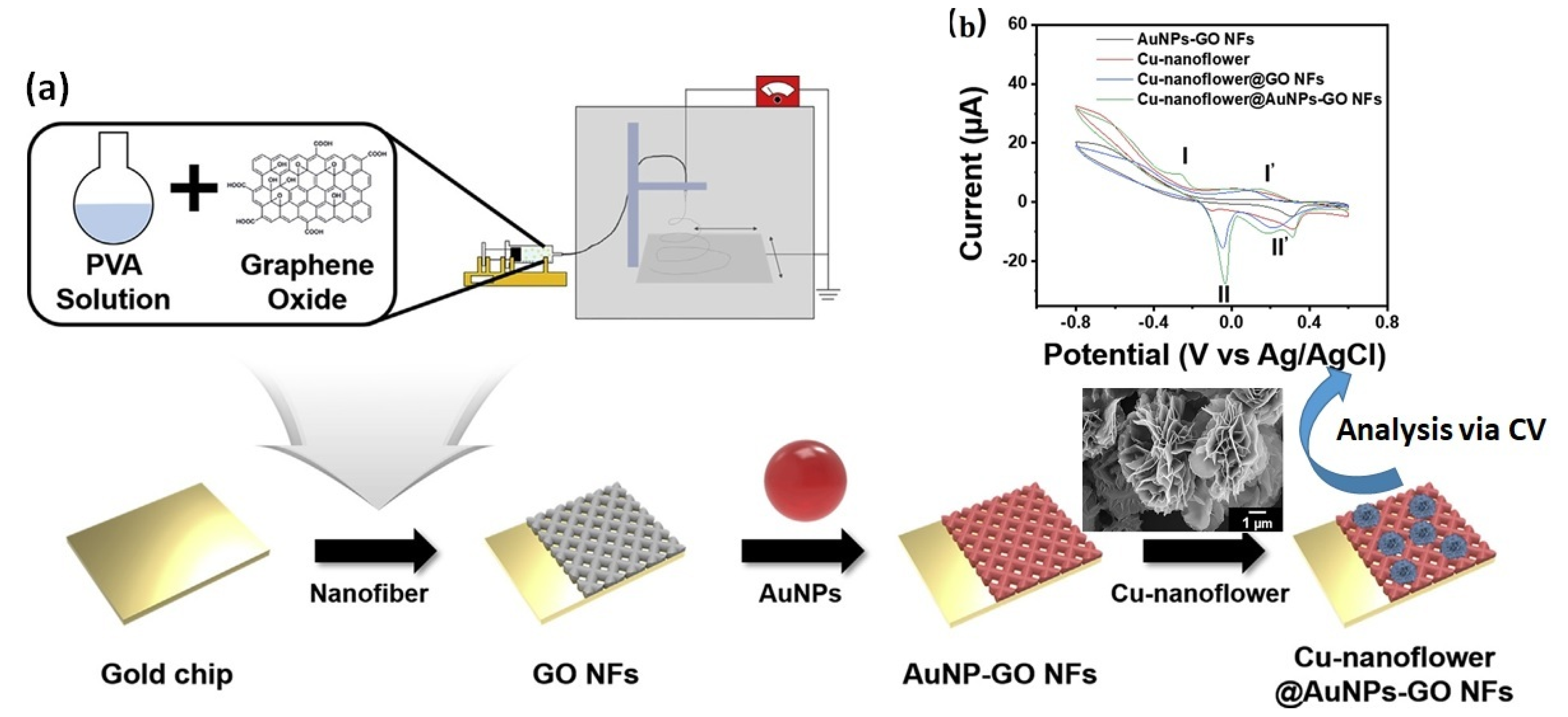 Biosensors 13 00416 g002