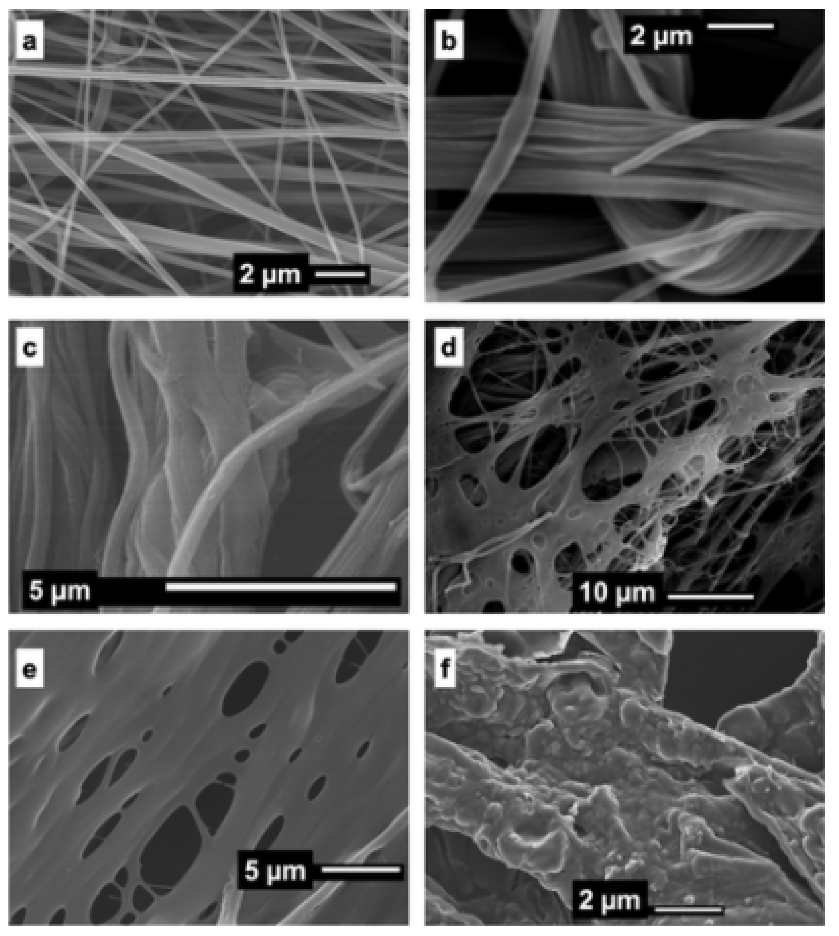 Biosensors 13 00416 g003