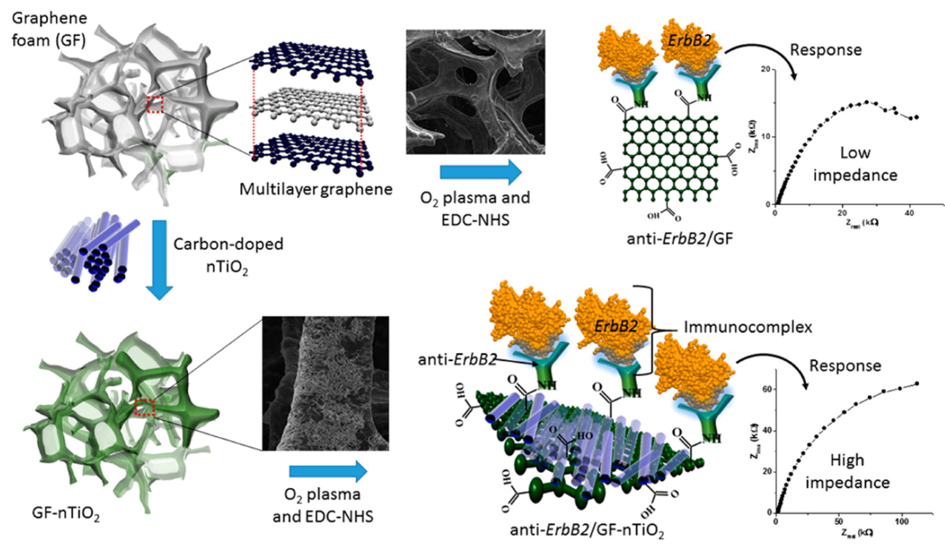 Biosensors 13 00416 g005