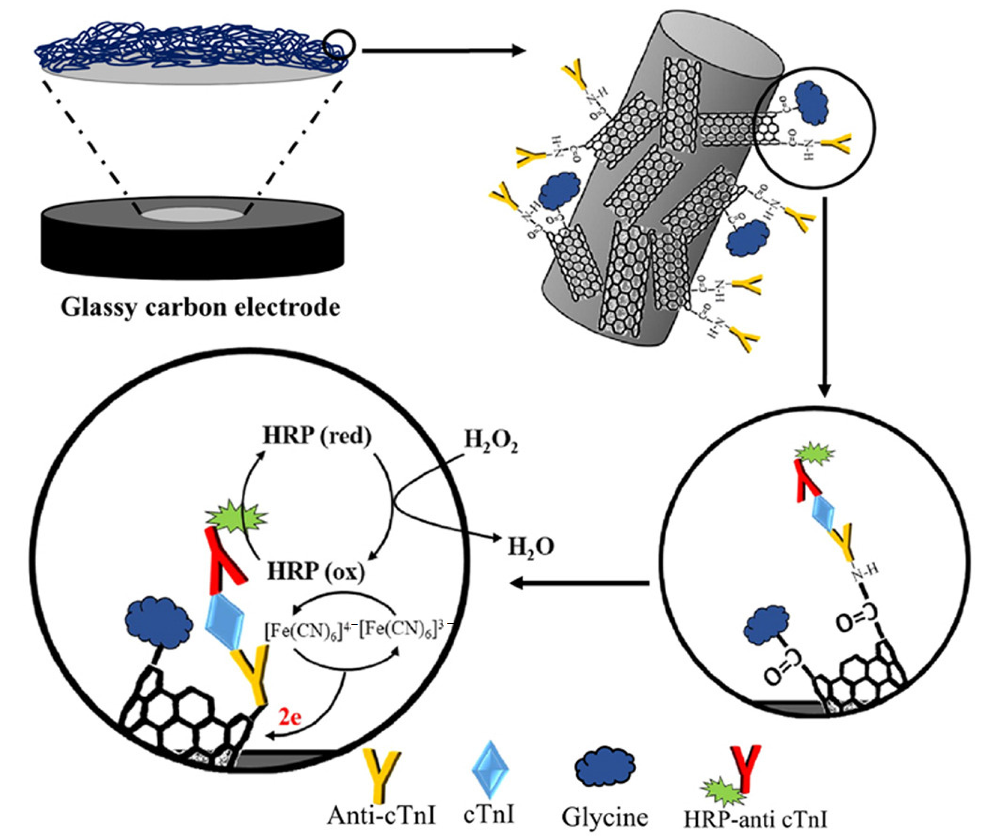 Biosensors 13 00416 g006