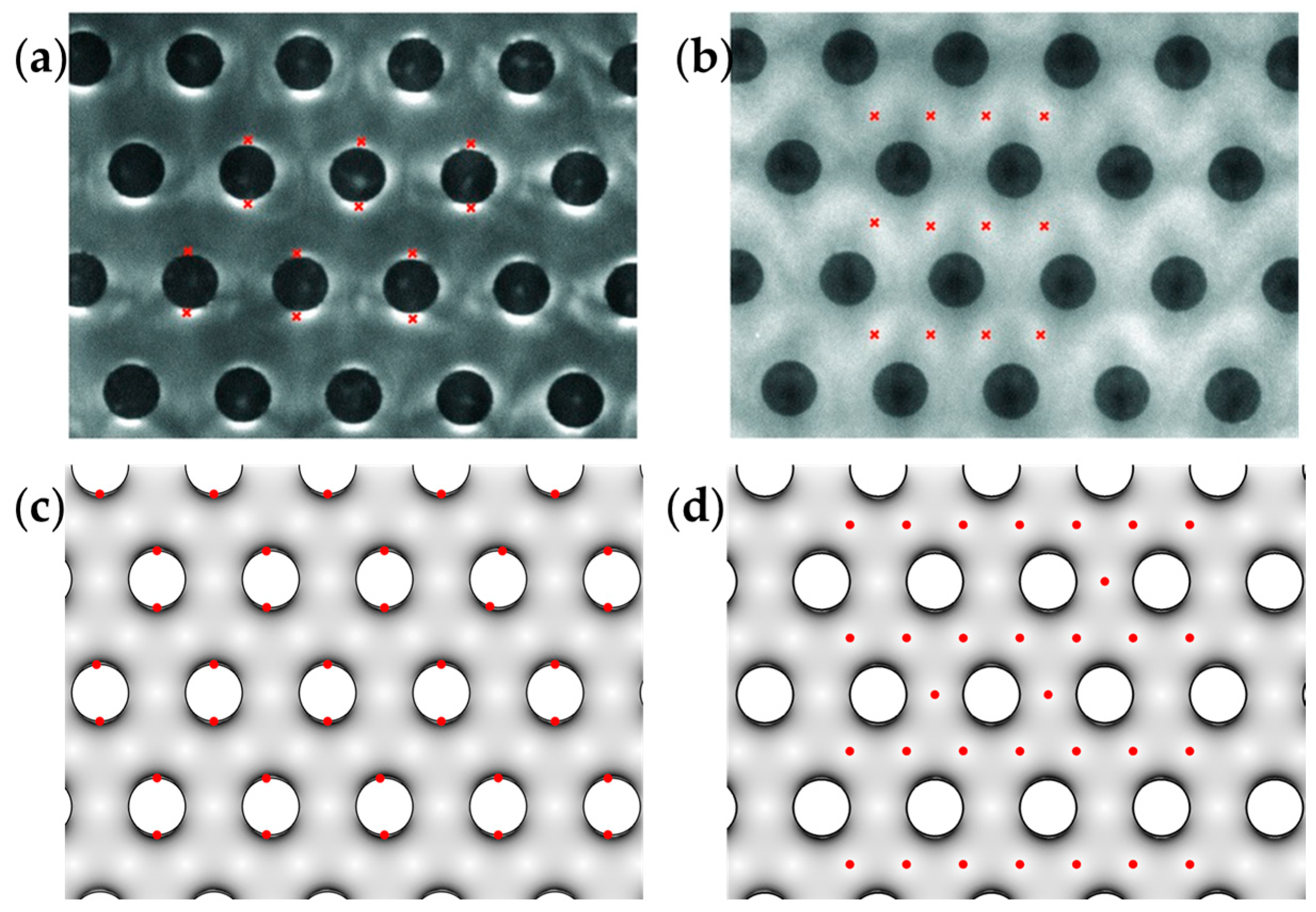 Biosensors 13 00418 g004
