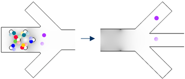 Biosensors 13 00418 i007 Biosensors 13 00418 i007