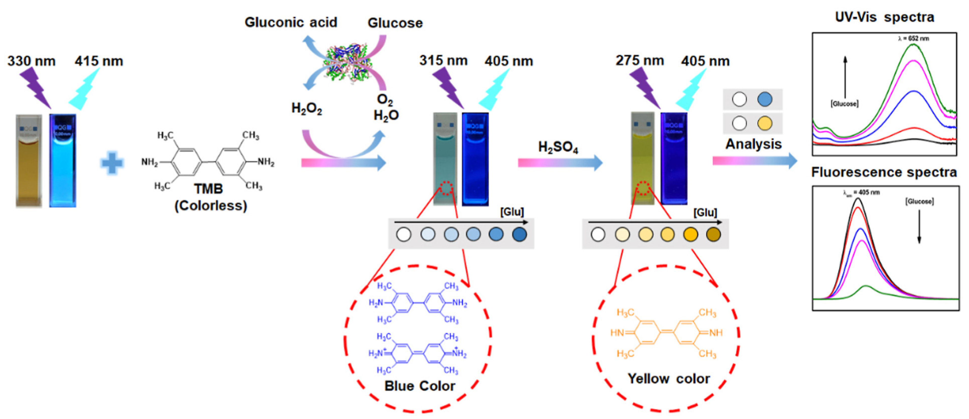 Biosensors 13 00420 g003 Biosensors 13 00420 g003