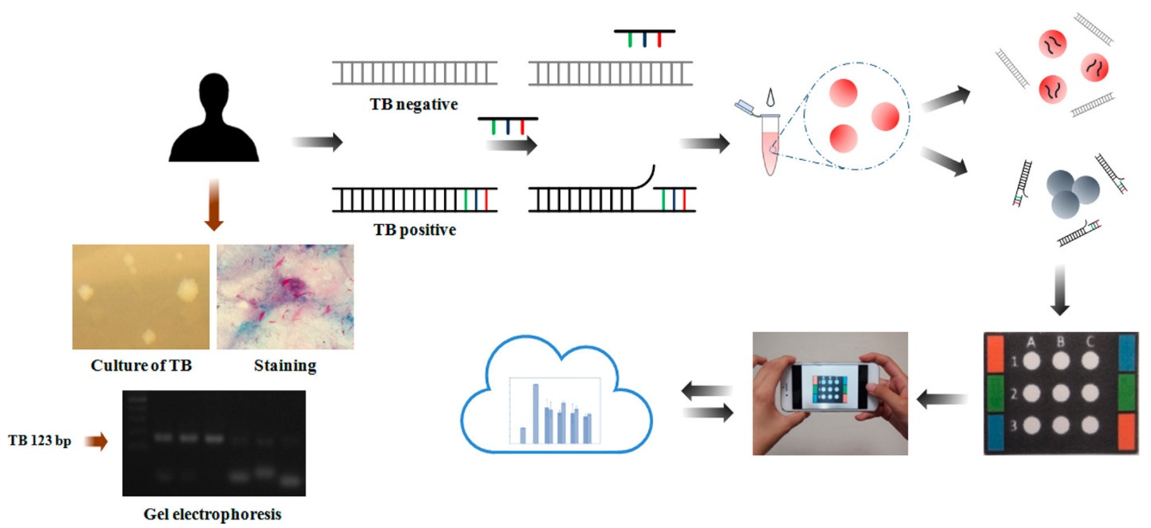 Biosensors 13 00420 g004 Biosensors 13 00420 g004