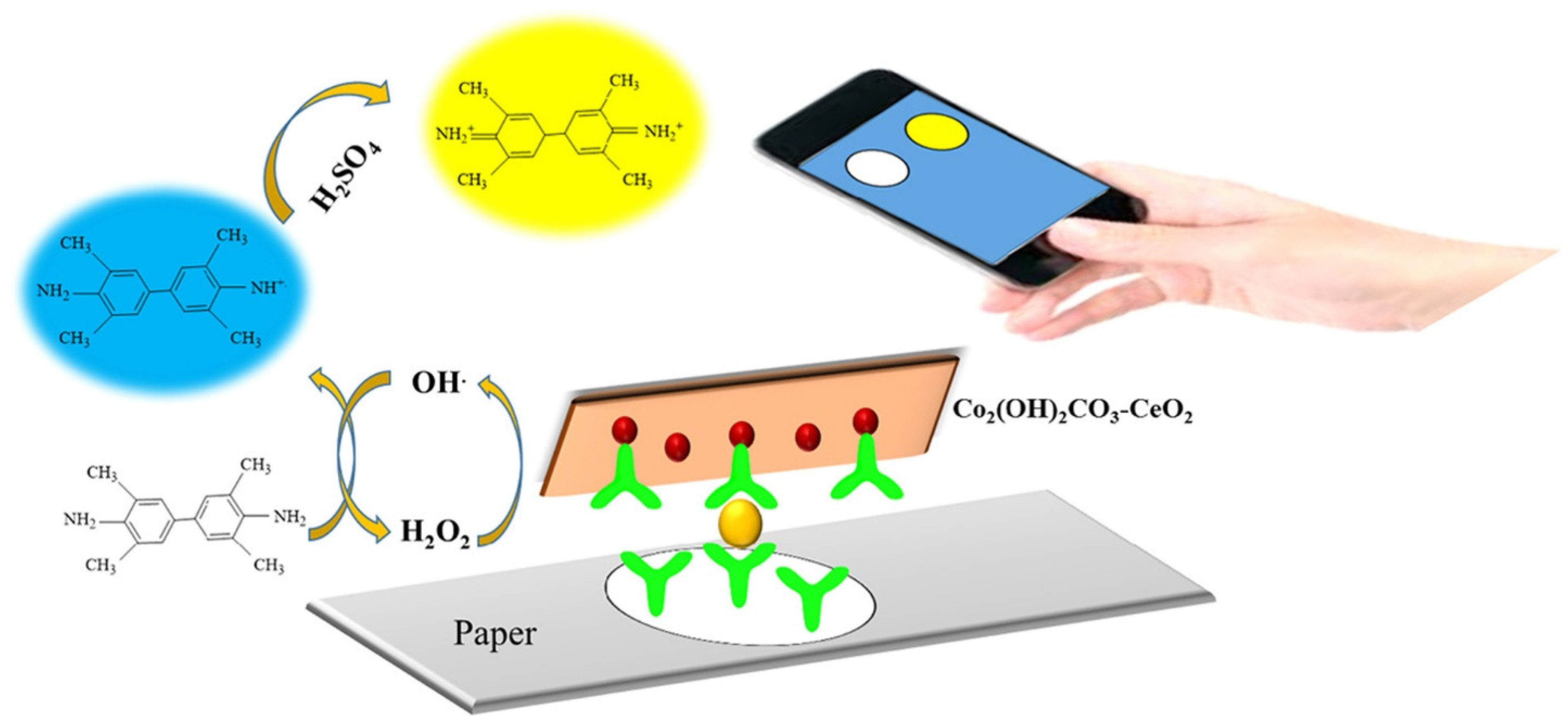 Biosensors 13 00420 g005 Biosensors 13 00420 g005