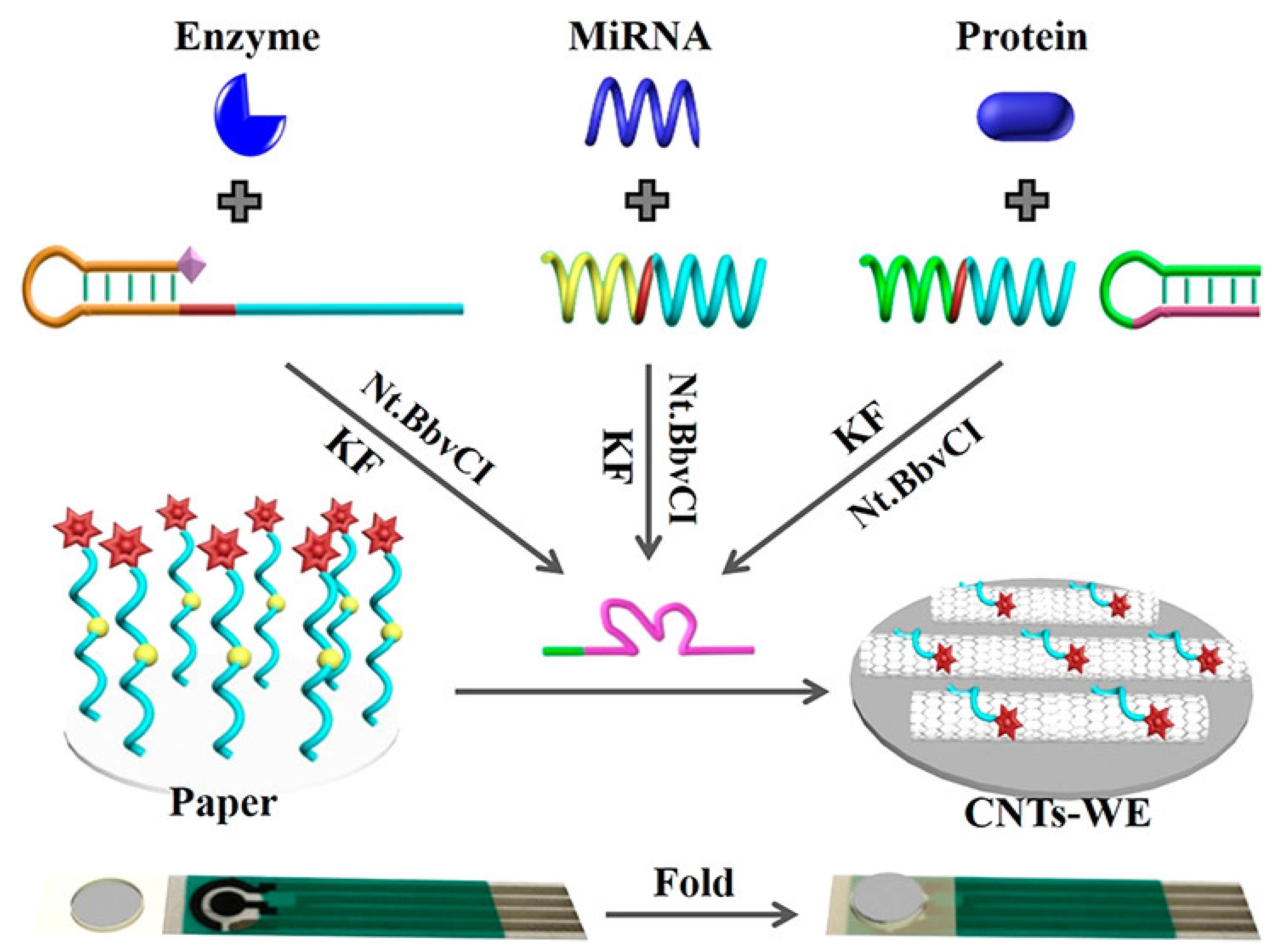 Biosensors 13 00420 g007 Biosensors 13 00420 g007