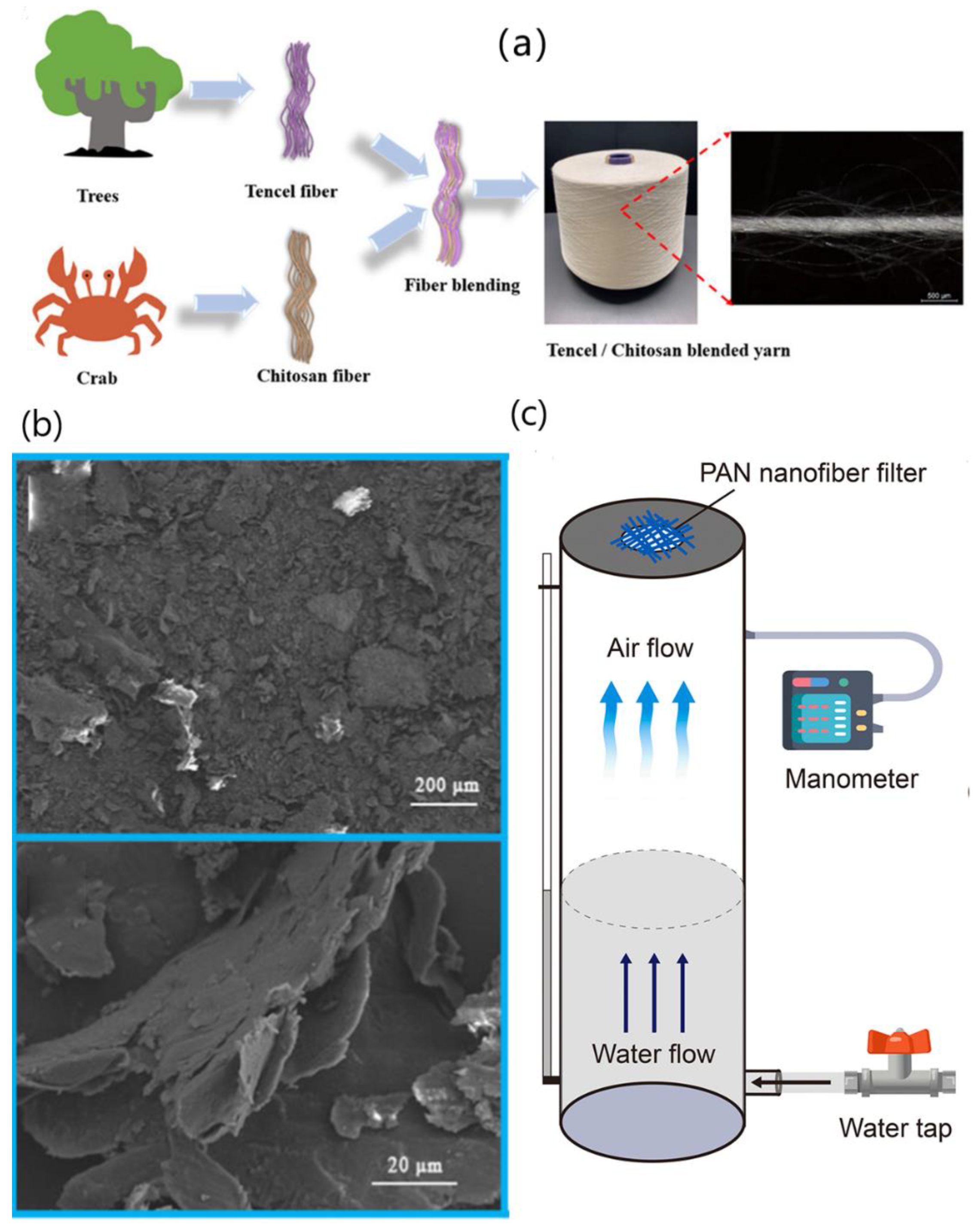 Biosensors 13 00423 g004